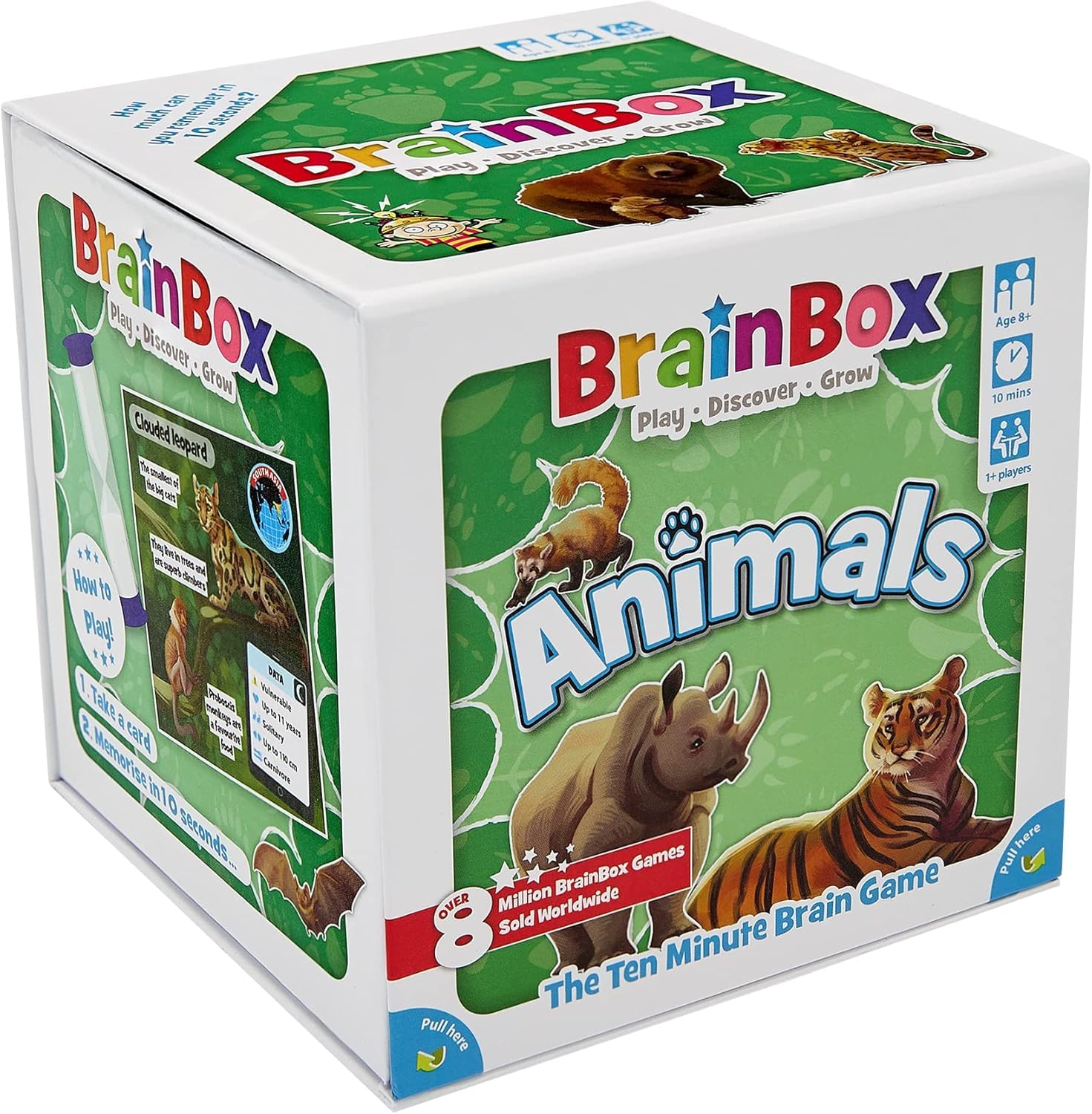 Amazon.com: BrainBox Animals Card Game - Memory & Observation, 55