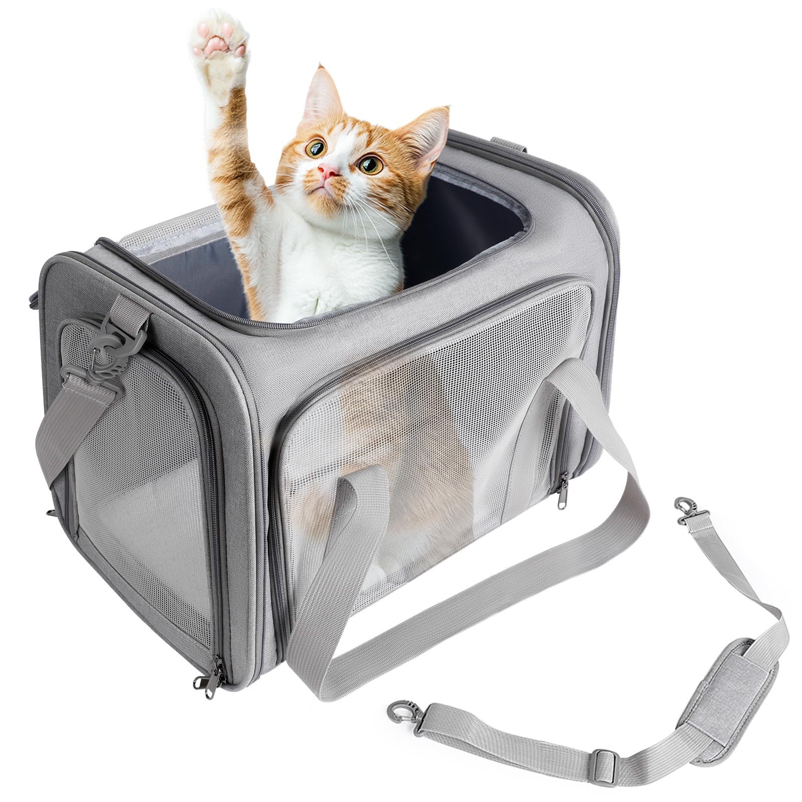 AiQInu Trasportino Gatto e Cani, Borsa da Trasporto Traspirante Pieghevole per Gatto, Trasportino per Gatti Capacità di Carico 3-6 Kg, Borsa da Viaggio per Cani Gatti di Media Taglia in Aereo