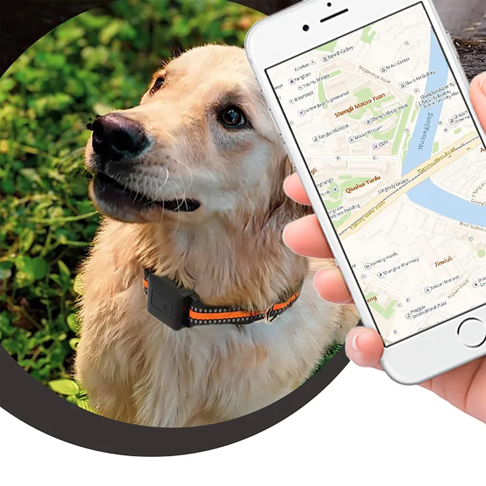 Sistema de valla inalámbrica para perros, impermeable, recargable, con GPS, para perros y gatos, contención eléctrica portátil con monitor de actividad, no necesita red celular