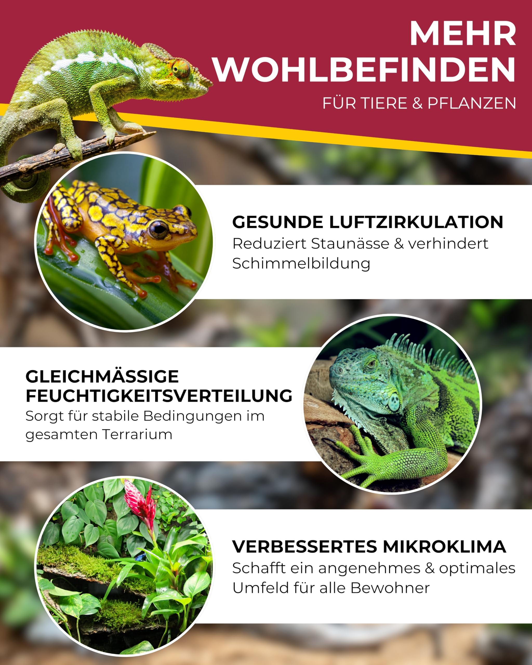 Hobby Terraristik Terra Fan I Ventilator zur Luftzirkulation in Terrarien I inkl. Display und Sensor I Lüfter für EIN perfektes Klima im Terrarium I ideal für Reptilien und Pflanzen