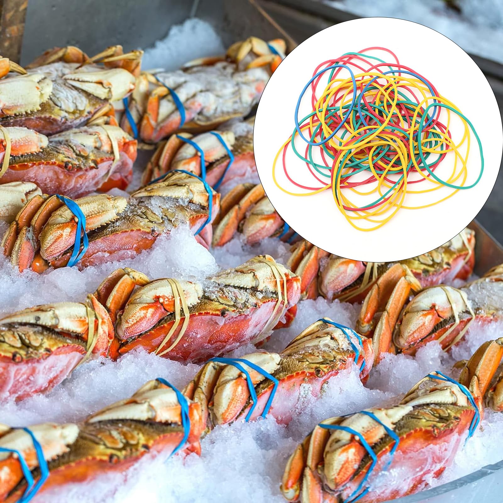 Amazon | 輪ゴム ゴムバンド ラバーバンド カラフル 色つき カラー