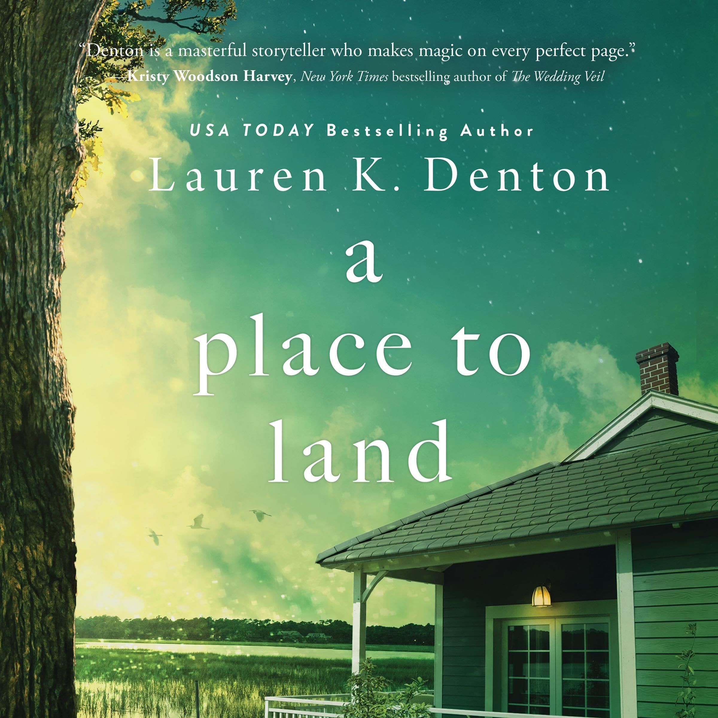 Cover art for A Place to Land