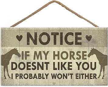 TOMATO FANQIE Funny Horse Gifts for Women Hanging Sign Horse Gifts for Girls Horse Accessories Cute Country Home Accessory Gift Sign for Horse Lovers 10" X 5" US-G063