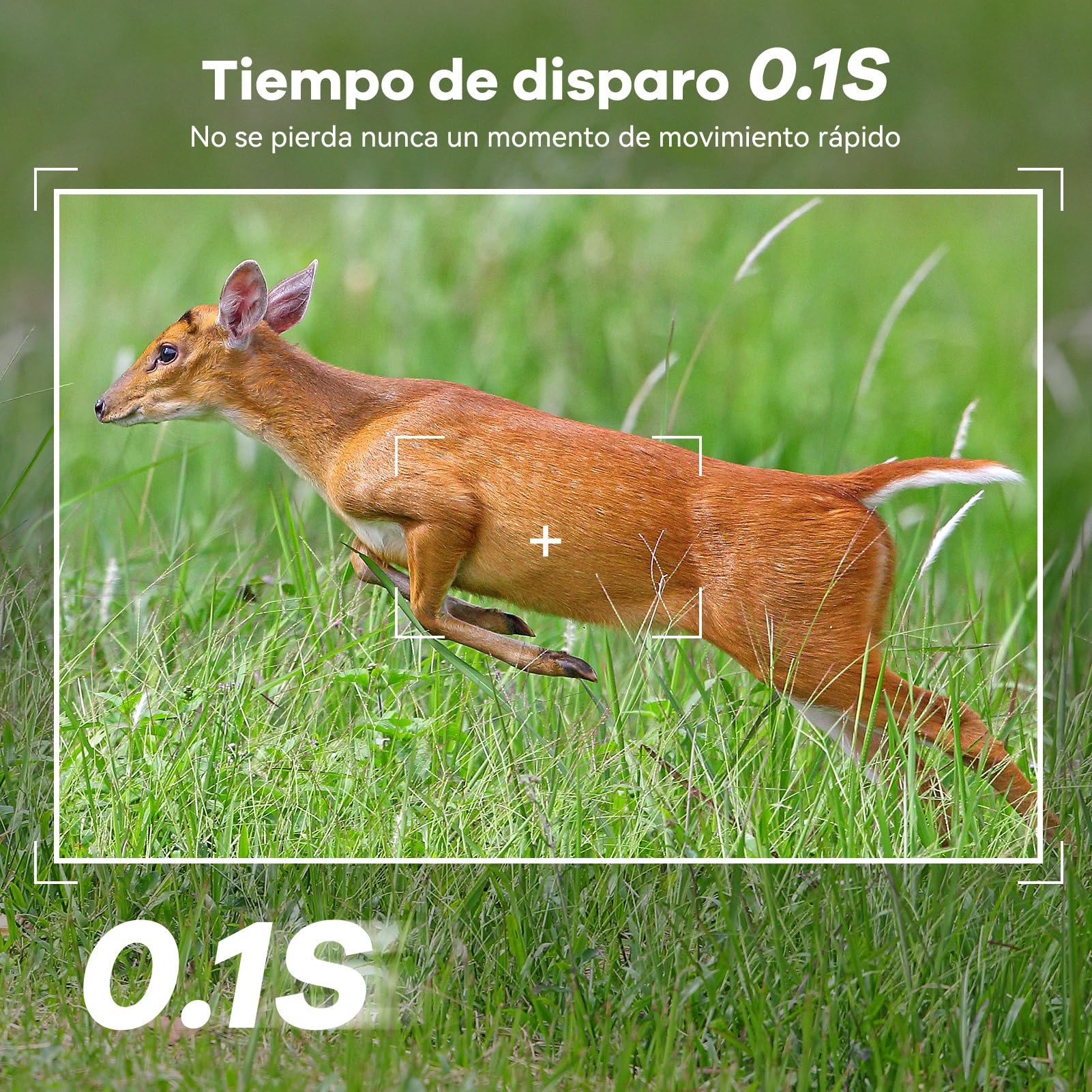 DEATTI Camara Fototrampeo Solar 4G LTE Camara Caza, Tarjeta SIM Camara de Caza Nocturna 940nm Invisibles IR Leds IP66 Impermeable, con Batería Incorporada de 7800mAh（Sin Tarjeta SD）