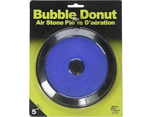 5 H20 Donut To Improve Your Aquatic Experience