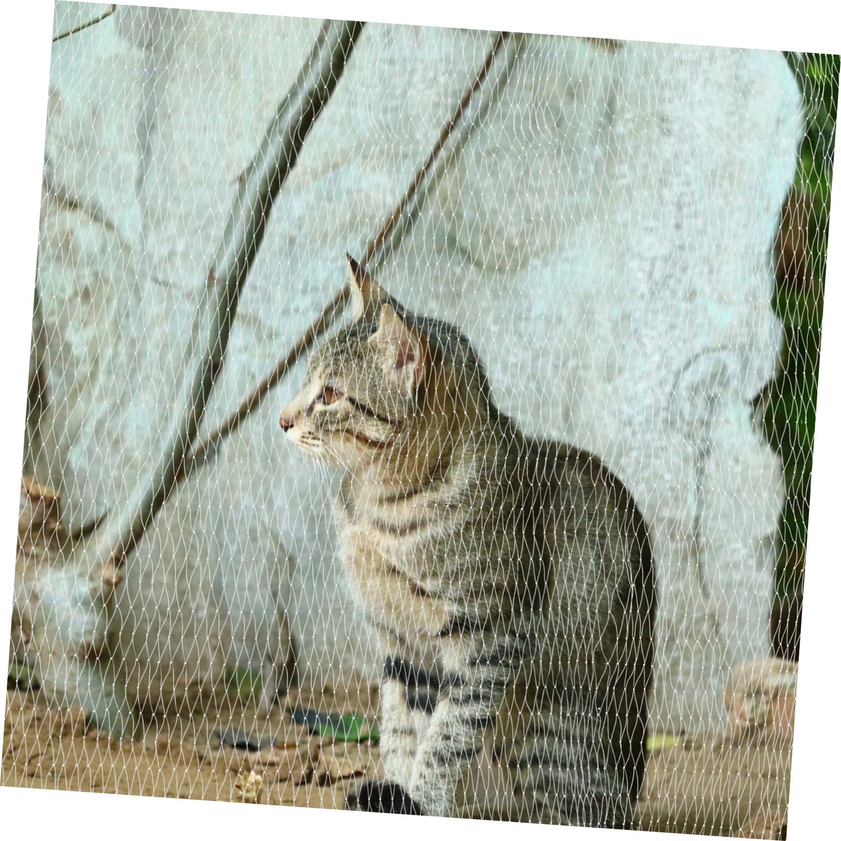 BESTonZON Rete Sicurezza per Balcone Rete Protezione per Animali Domestici per Animali Bianca