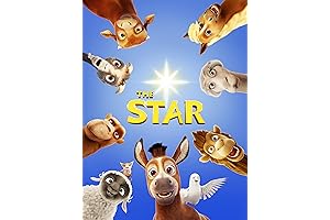 The Star: A glimmer in the night sky