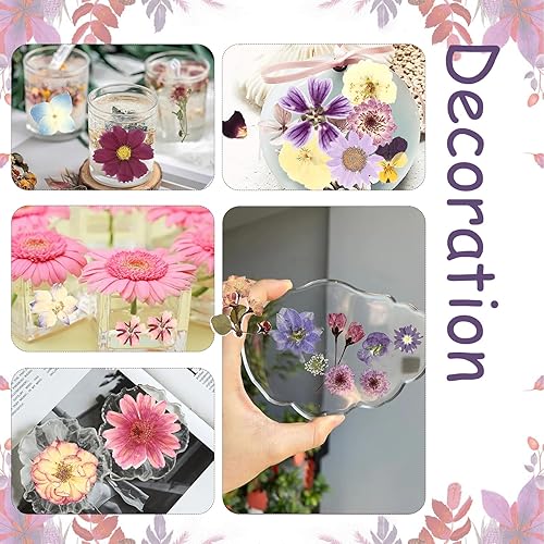 Vista 27 de 104 flores secas prensadas naturales de resina, flores secas para accesorios de resina, flores secas para álbumes de recortes, manualidades, moldes