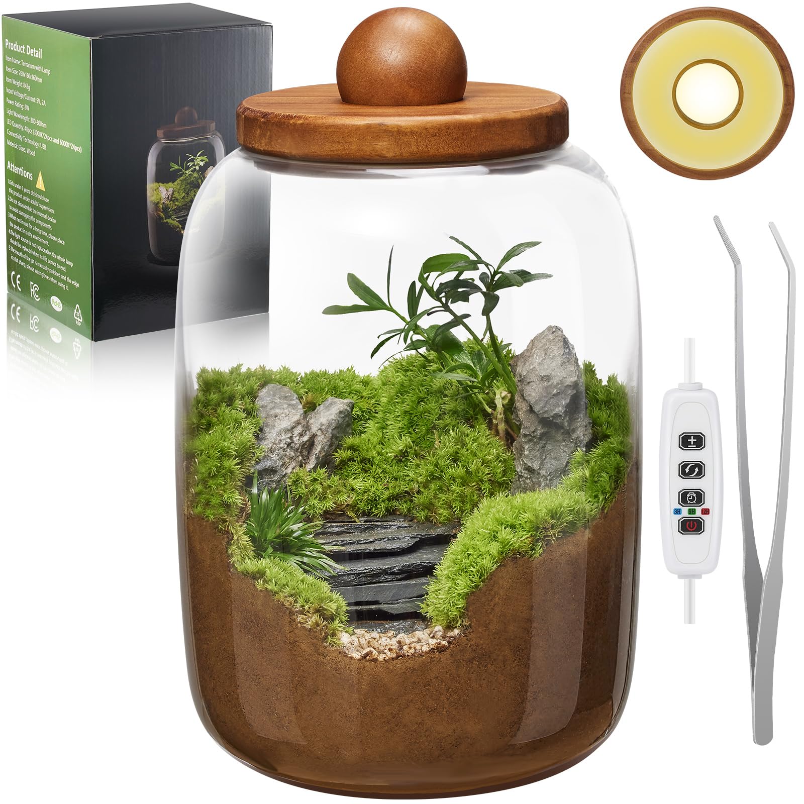 MarchingGreen Desktop Glass Terrarium with Time-Controlled Grow Light, H 8.6IN x D 6.3IN Plant Propagation Station and Air Planter for Office and Home