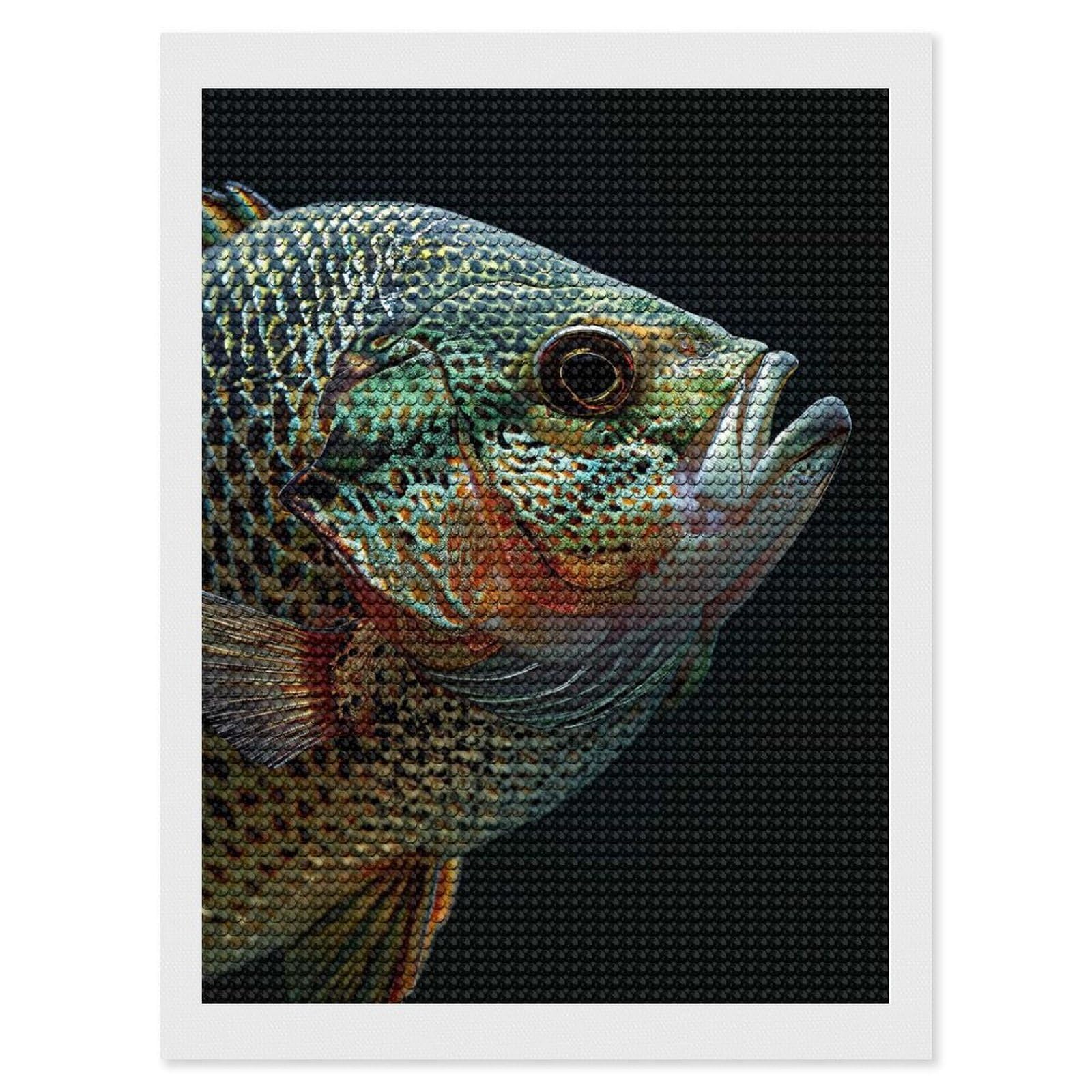 Junmoney Crappie Fish Round Drill Diamond Painting 12"x16", Satisfying Creative Project, Complete Accessories, Printed Canvas
