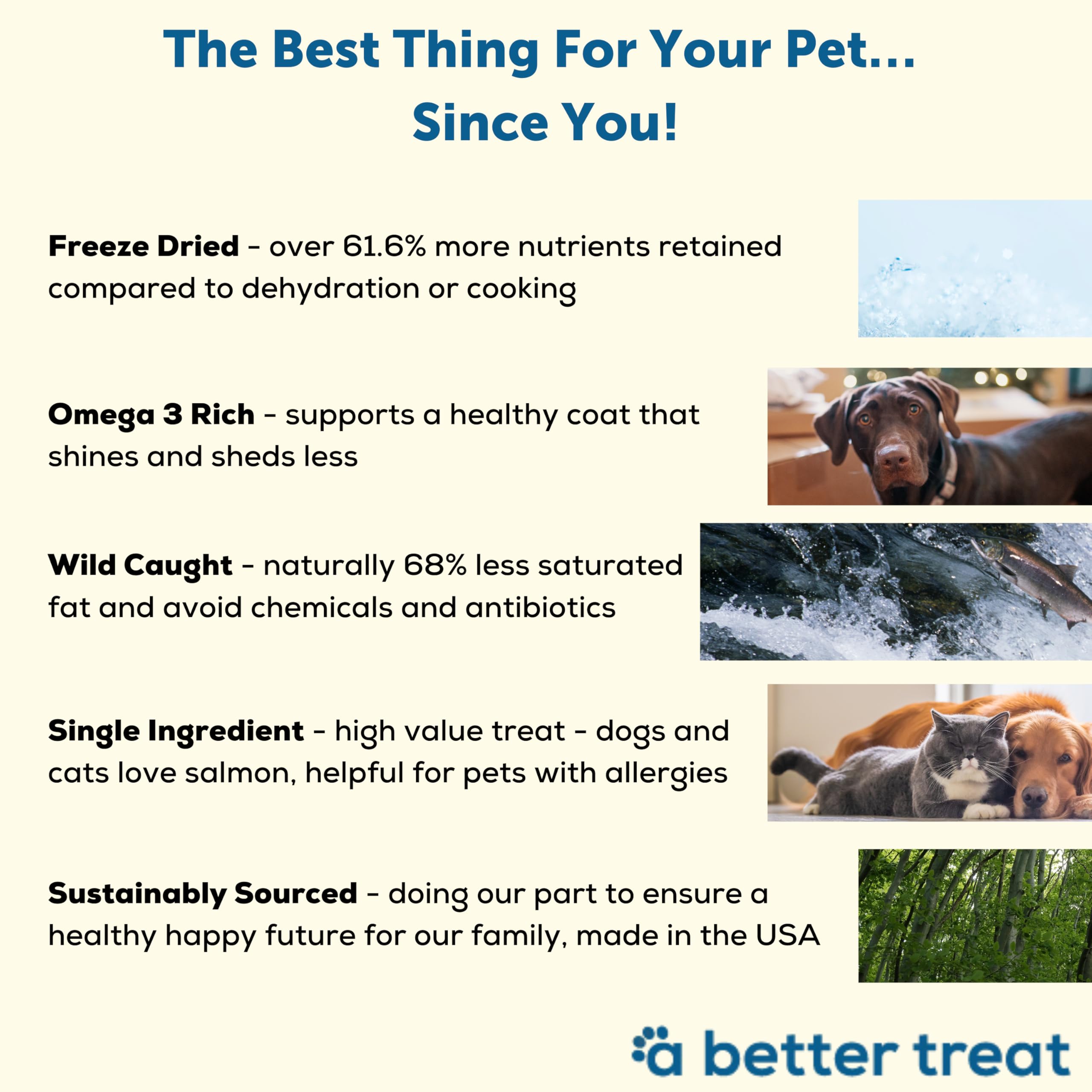 A Better Treat - Freeze Dried Salmon Dog Treats, Wild Caught, Single Ingredient | Natural High Value | Gluten Free, Grain Free, High Protein, Diabetic thumbnail 3