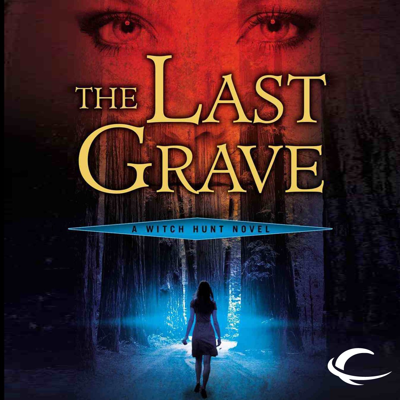 Cover art for The Last Grave