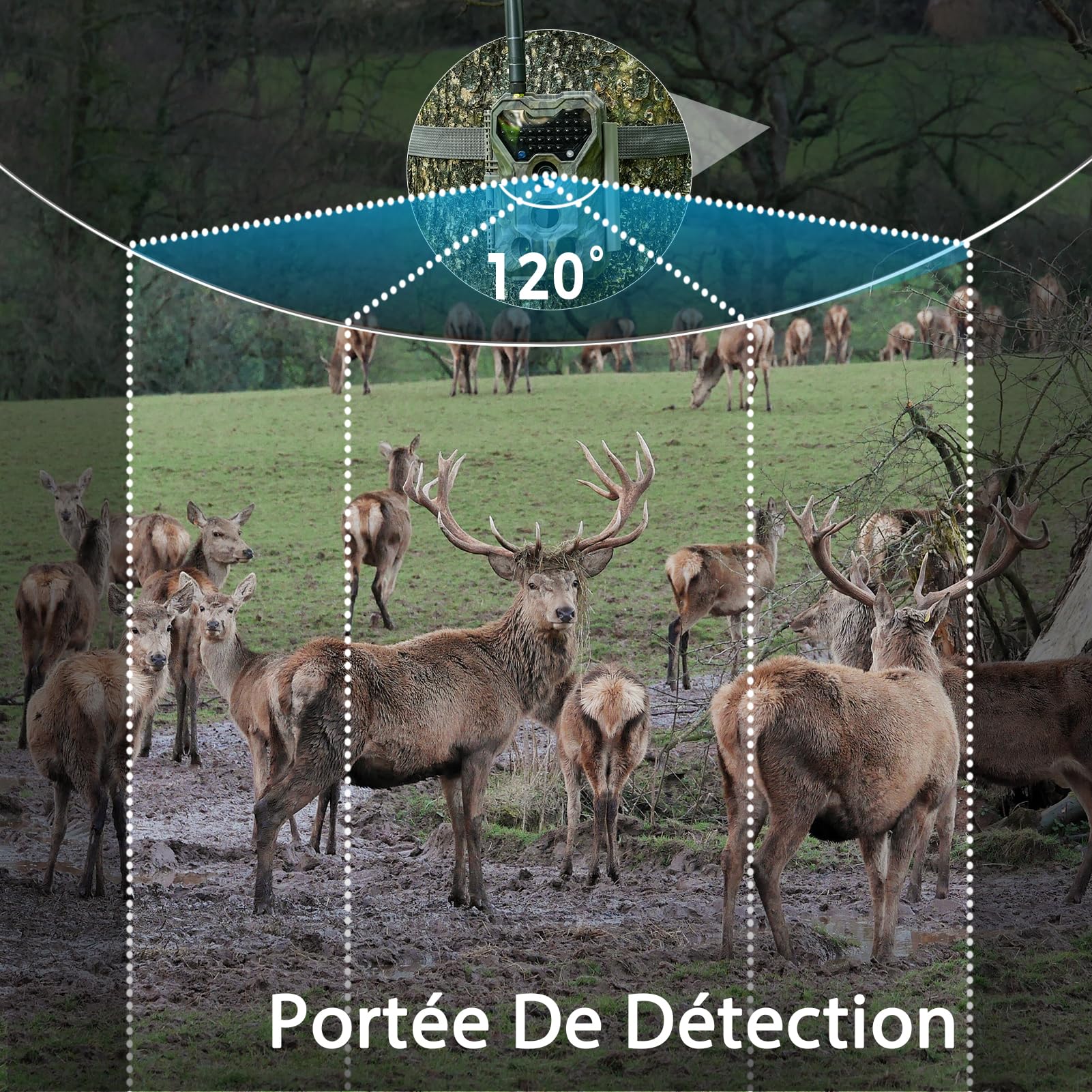 Meidase S970 4G LTE Caméra de Chasse, 48MP 1296P, avec Fonction de Streaming en Direct, Vision Nocturne, Activation par Mouvement 0.1s, Étanche, Transfert d Application, GPS Localisation