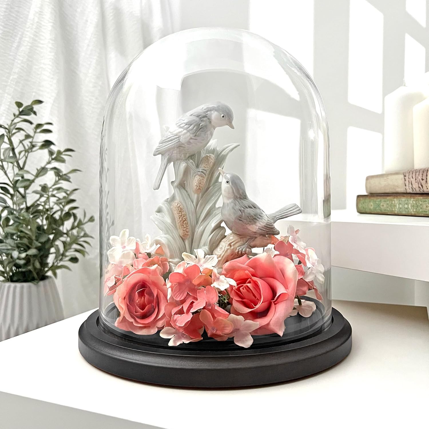 Plymor 8" x 10.25" Glass Display Dome Cloche (Black MDF Wood Base)