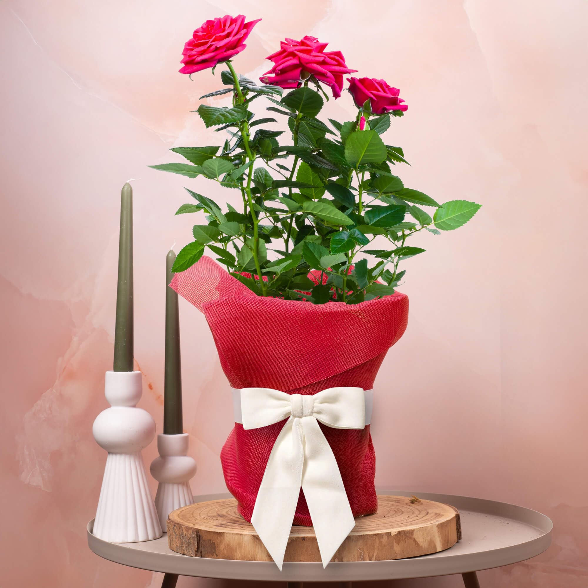 GardenersDream Red Rose Outdoor Plant Gift - Live Roses Garden Plant for Birthday, Anniversary & Mother's Day Gifting - Red Hessian Wrapping, White Bow and Custom Message Card (17cm Pot, 20-30cm)