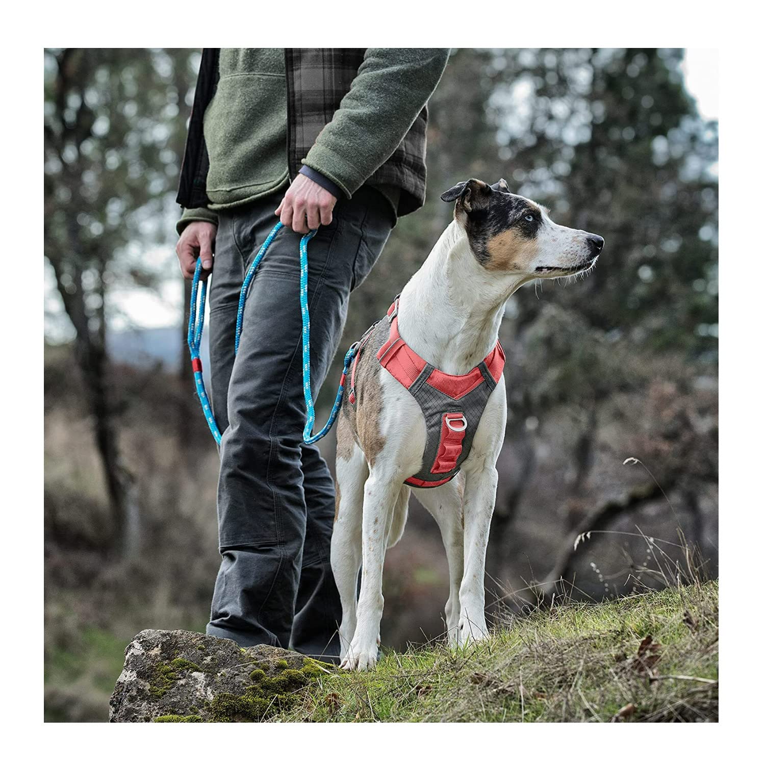 Kurgo Journey Air Dog Harness, Vest Harnesses for Dogs Pet Hiking Harness for Running & Walking, Reflective, Padded - Image 4