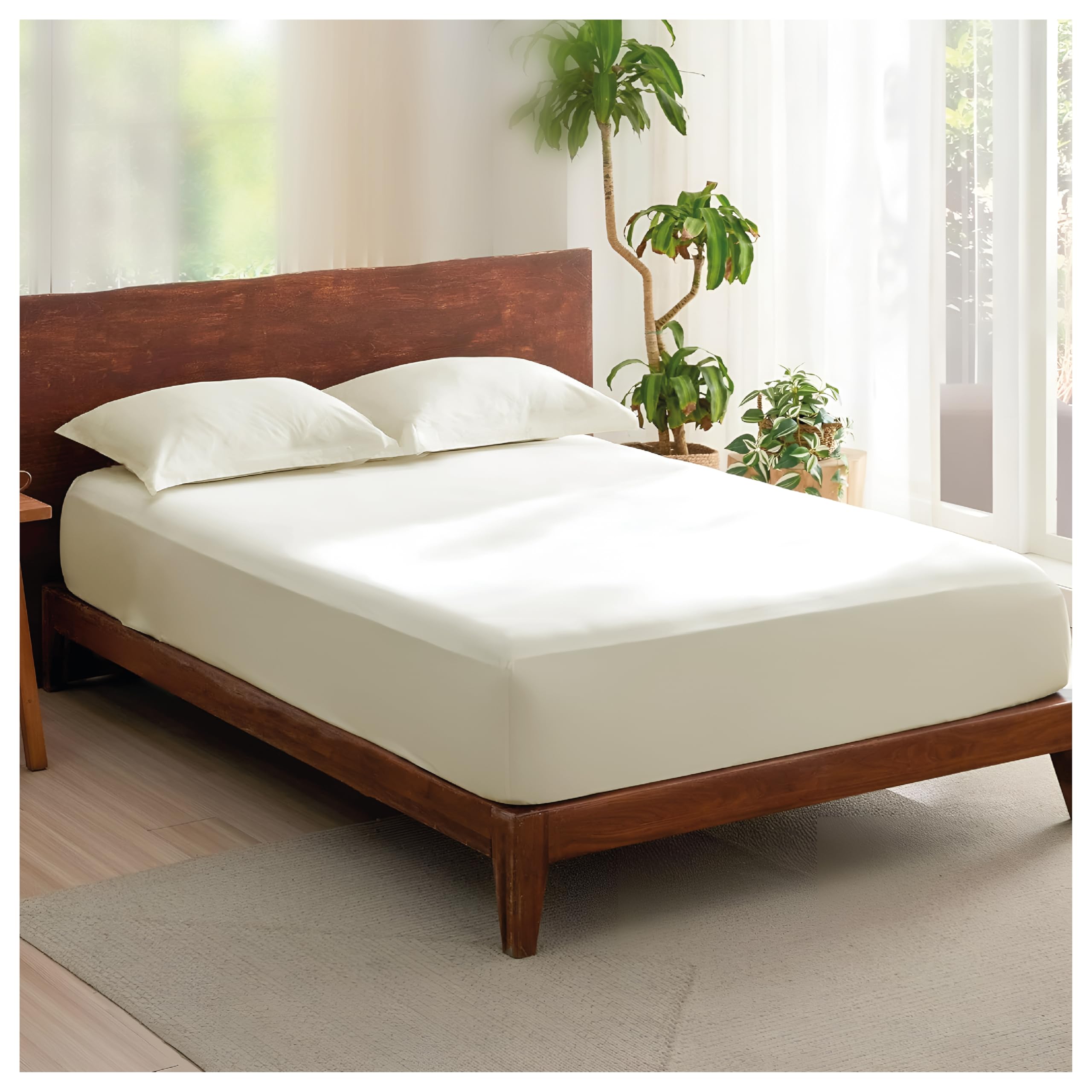Rehan & Co 100% Egyptian Cotton Fitted Sheets 300 Thread Count Breathable Hotel Qulaity Bedding 12” / 30cm Deep Fitted Bed Sheet. (Cream Fitted Sheet