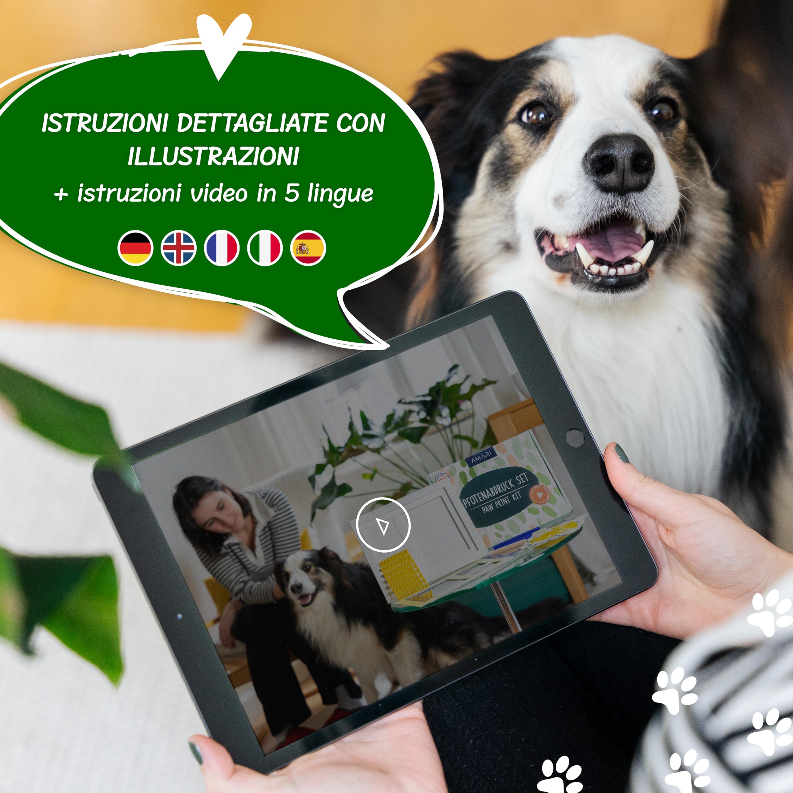 Amari Mari ® Set di Impronte di Zampe – Set di Impronte per Animali con Lettere, Numeri e cornici – Set di Impronte di Zampe per Cani