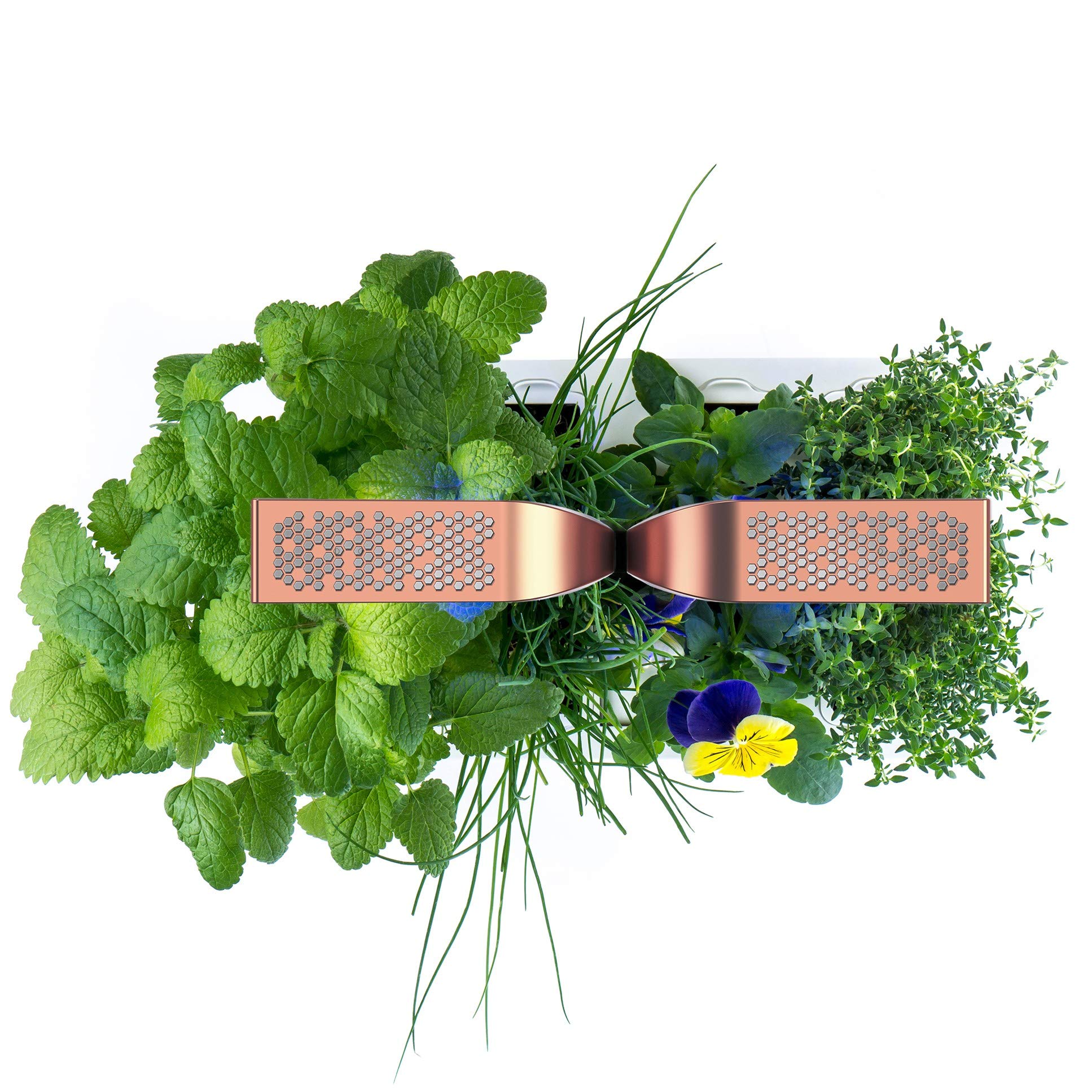 Véritable®- Huerta Interior Made in France - Cultivo en Interiores ...