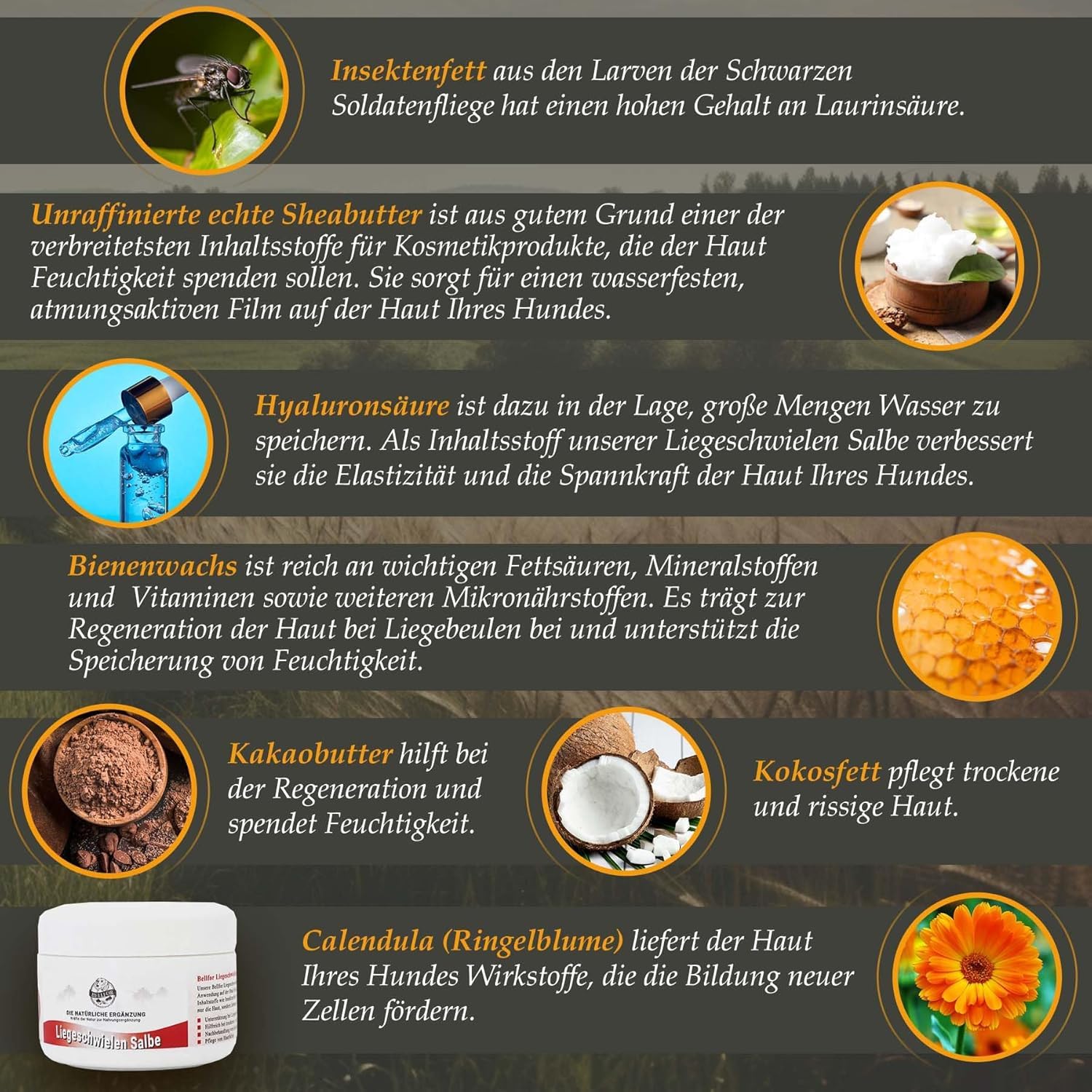 Bellfor Crema para Callos en Perros de Insectos y caléndula - 30 ml. Pomada Natural para Callos en Perros, antibacteriana y antiinflamatoria. La pomada hidrata la Piel Agrietada y Seca de los Callos