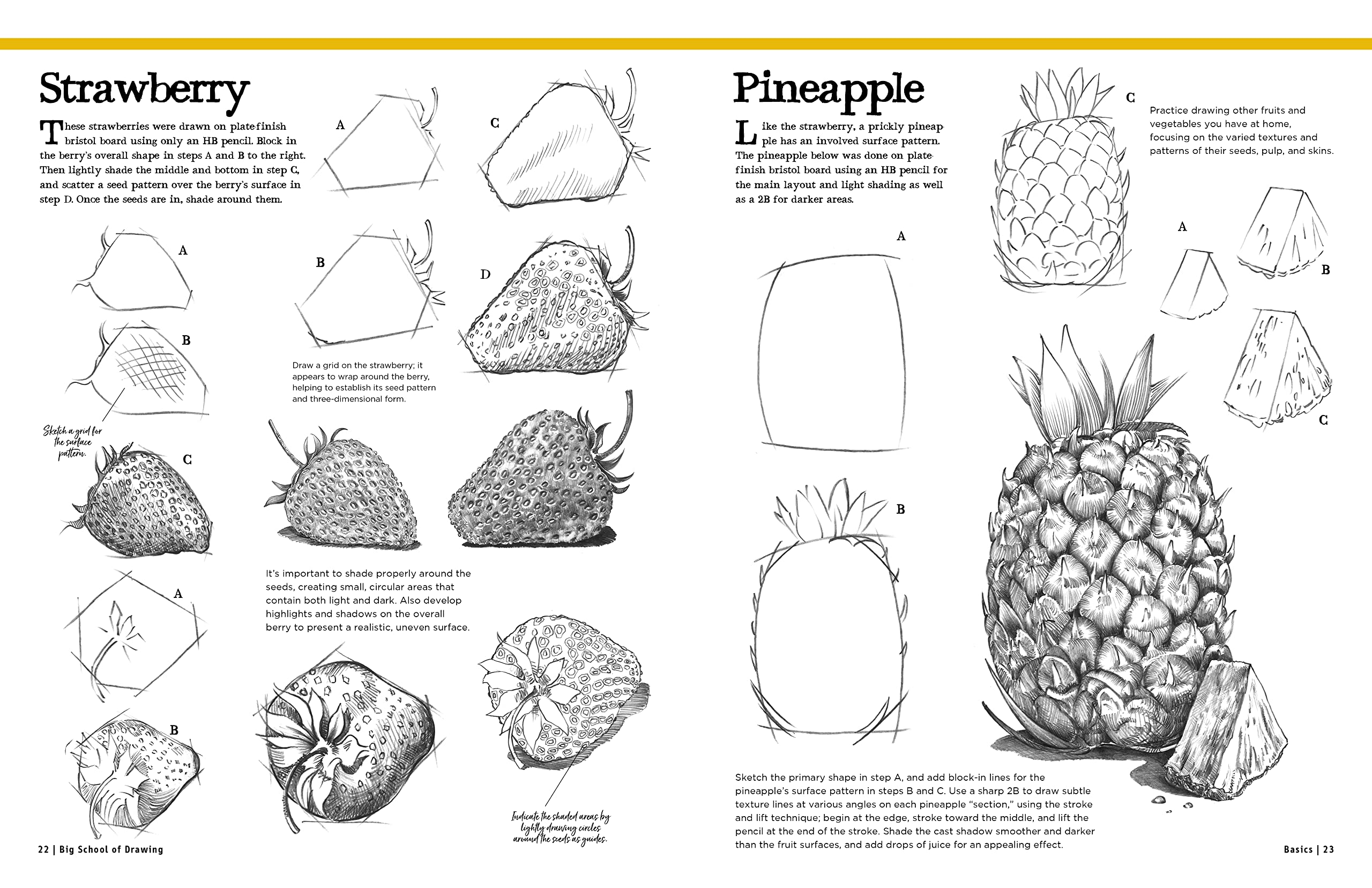 Big School of Drawing: Well-Explained, Practice-Oriented Drawing Instruction for the Beginning Artist: 1