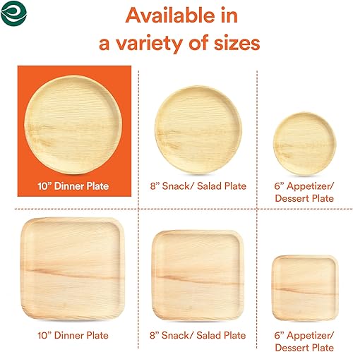Miniatura 59 de ECO SOUL - Platos de hoja de palma desechables 100% compostables, biodegradables, como platos de bambú, ecológicos de 10 y 8 pulgadas, resistentes