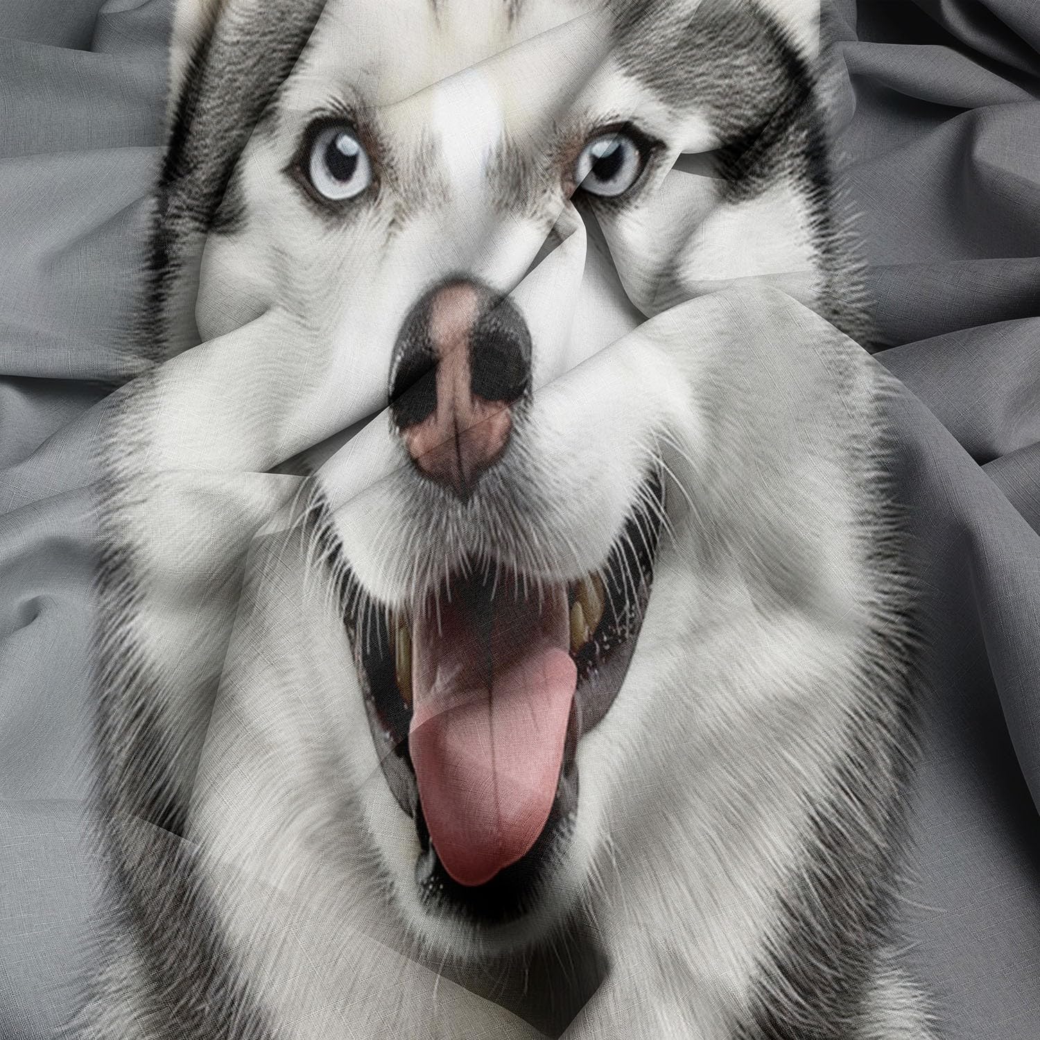 Husky-Porträt luksusowy zestaw pościeli z szarą pościelą, z mikrofibry, z zamkiem błyskawicznym i 2 poszewkami na poduszkę 260 x 220 cm