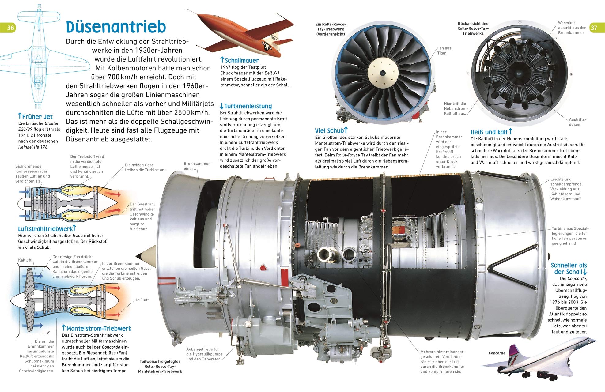 memo Wissen entdecken. Flugmaschinen: Propeller, Cockpit, Überschall. Das Buch mit Poster!