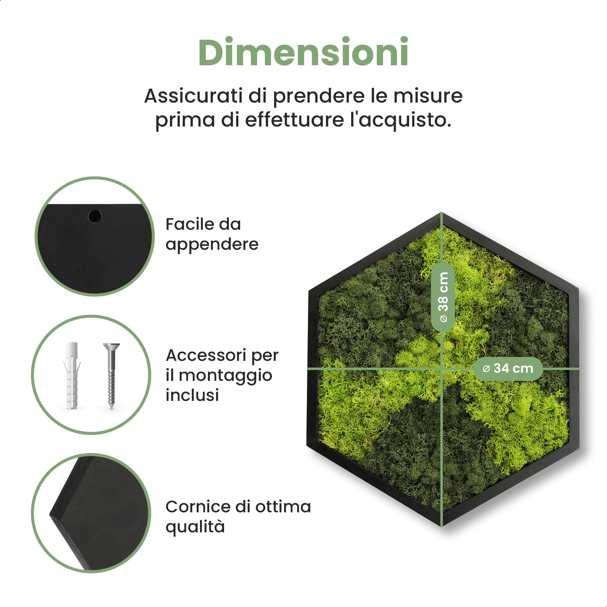 comforder Quadro Muschio Stabilizzato, Esagonale Ø 38 cm, Bicolore