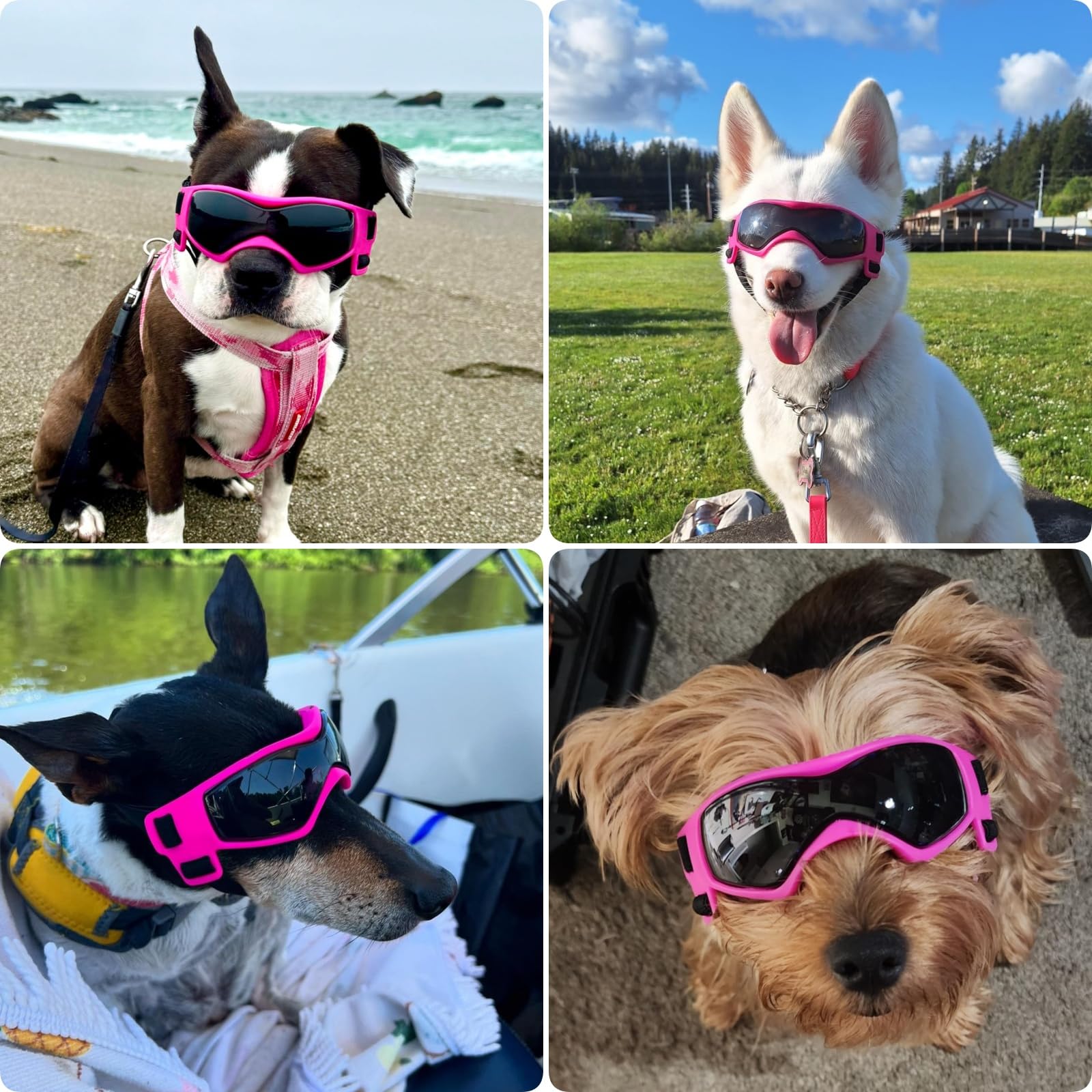 Amazon | PETLESO 小型犬用ゴーグル、犬用サングラス、小型犬用uv