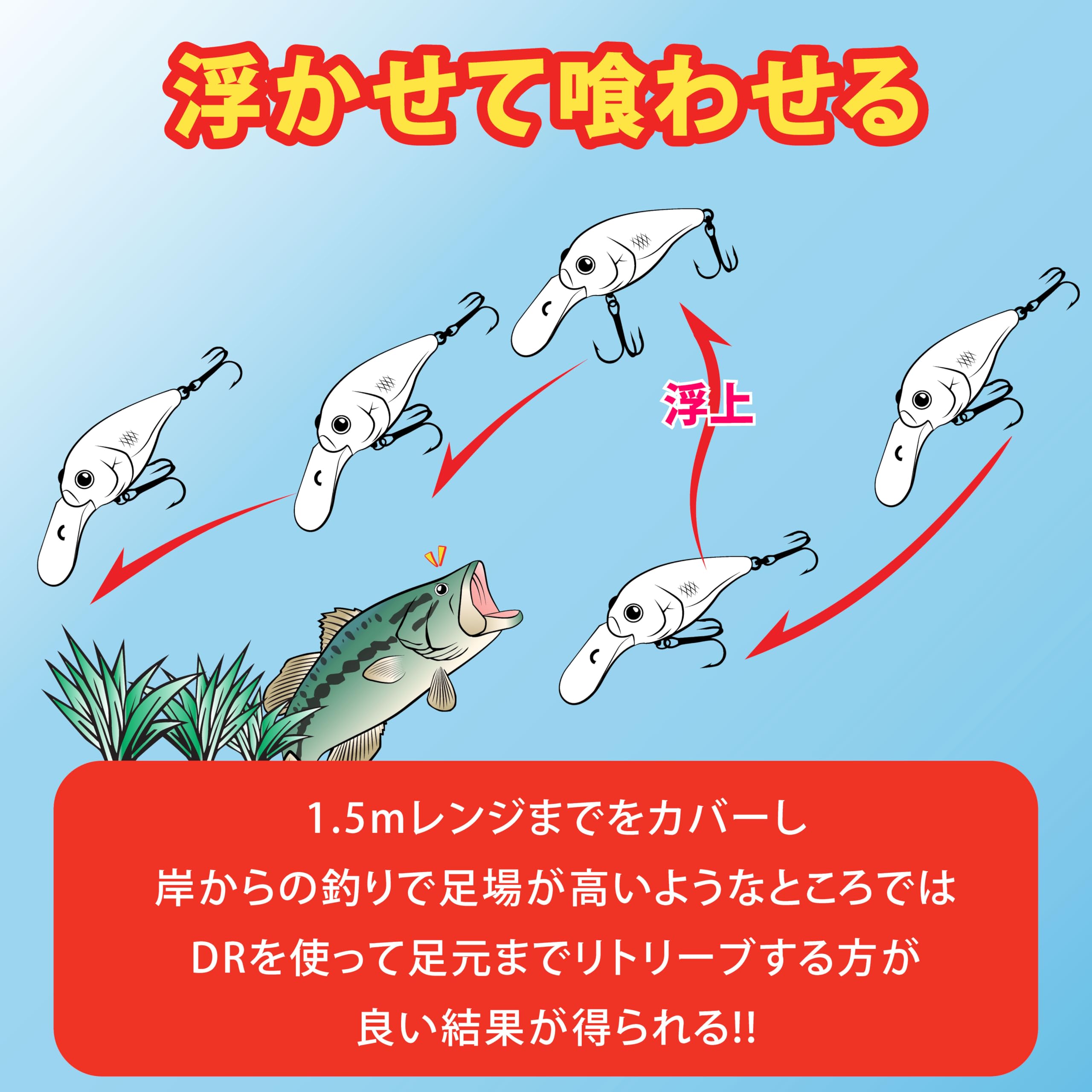 Amazon.co.jp: ラッキークラフト(LUCKY CRAFT) ベビークランク45DR
