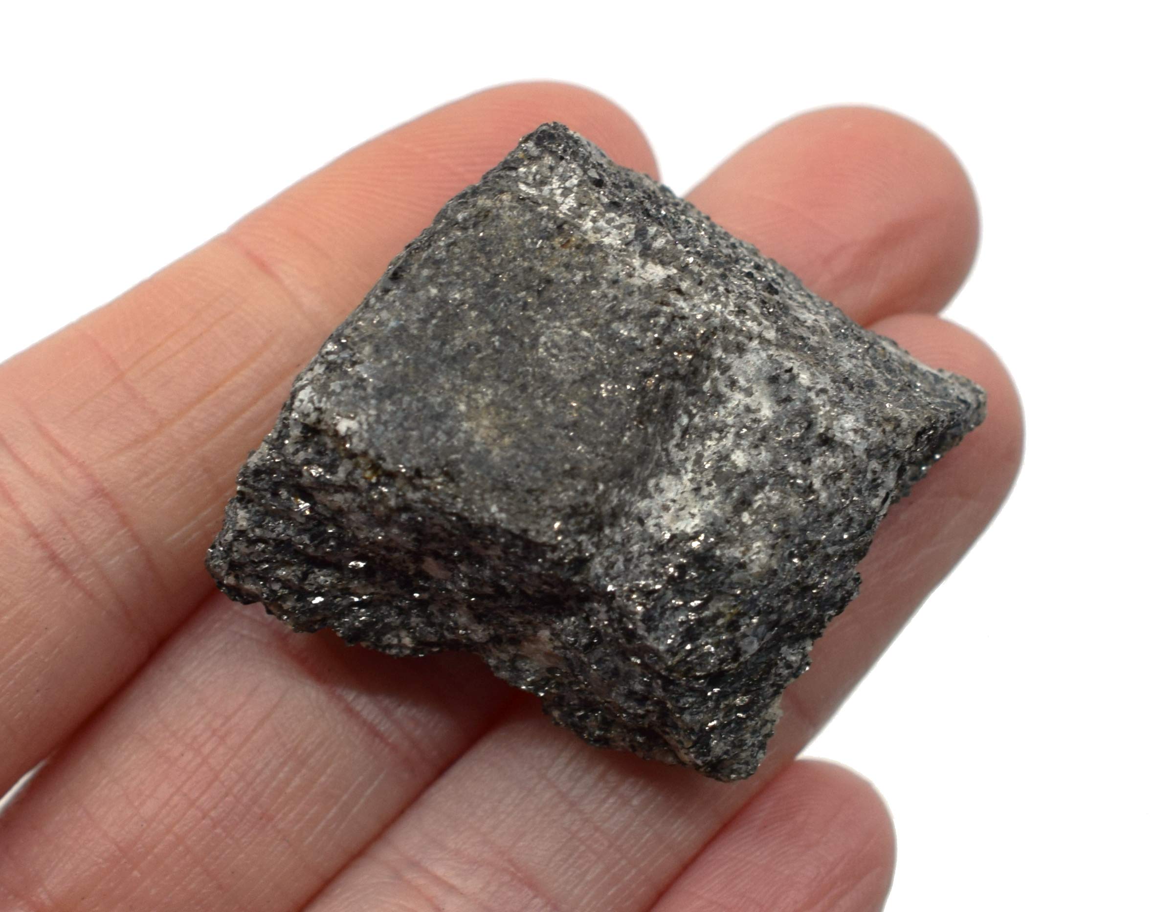 EISCO Raw Biotite Gneiss, Metamorphic Rock Specimen - Approx. 1