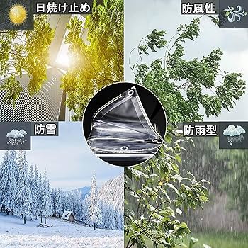 81T9SsIbiaL._AC_UF350,