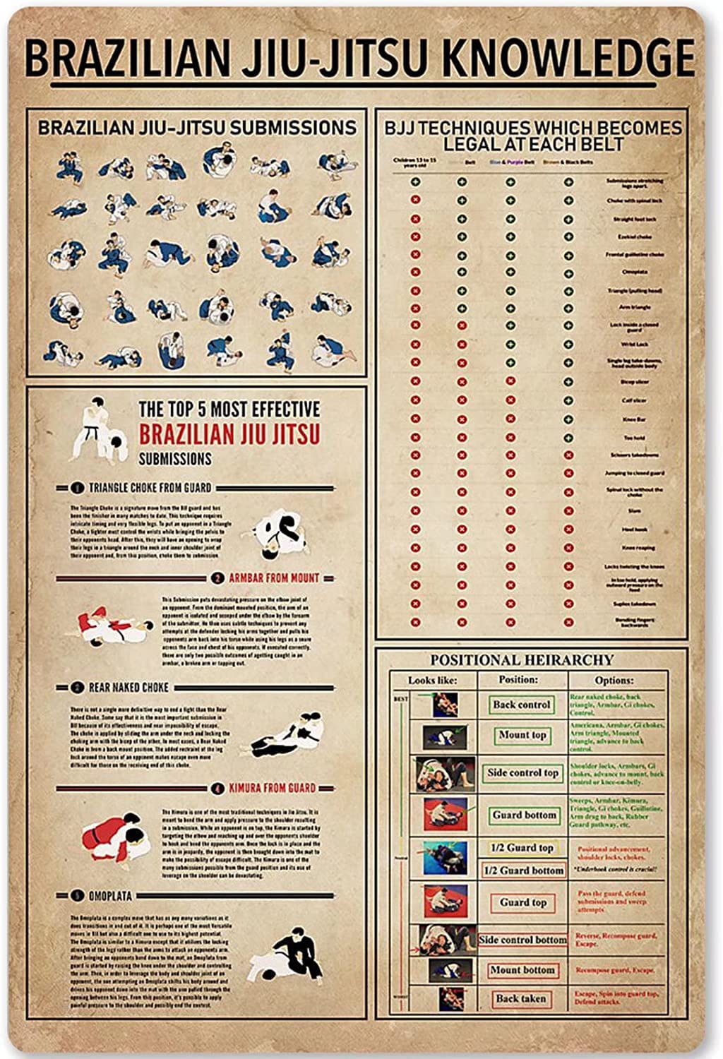Haosensix Brazilian Jiu-Jitsu Knowledge Metal Tin Sign Positional Hierarchy Brazilian Jiu-Jitsu Infographic Poster Used for School Club Home Kitchen Bar Wall Decoration Plaque 8x12 inches