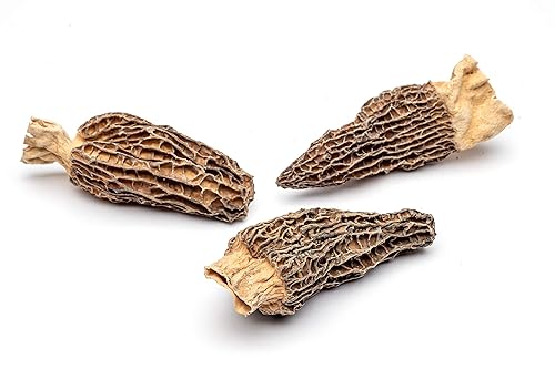 Miniatura 7 de Hongos secos de Morel Slofoodgroup (Morchella conica) Hongos de morel Gourmet, diferentes tamaños de morels disponible