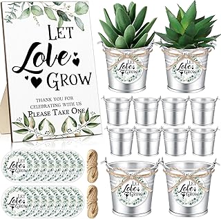 Zhehao 50 Sets Mini Succulent Buckets with 1 Greenery Let Love Grow Sign...