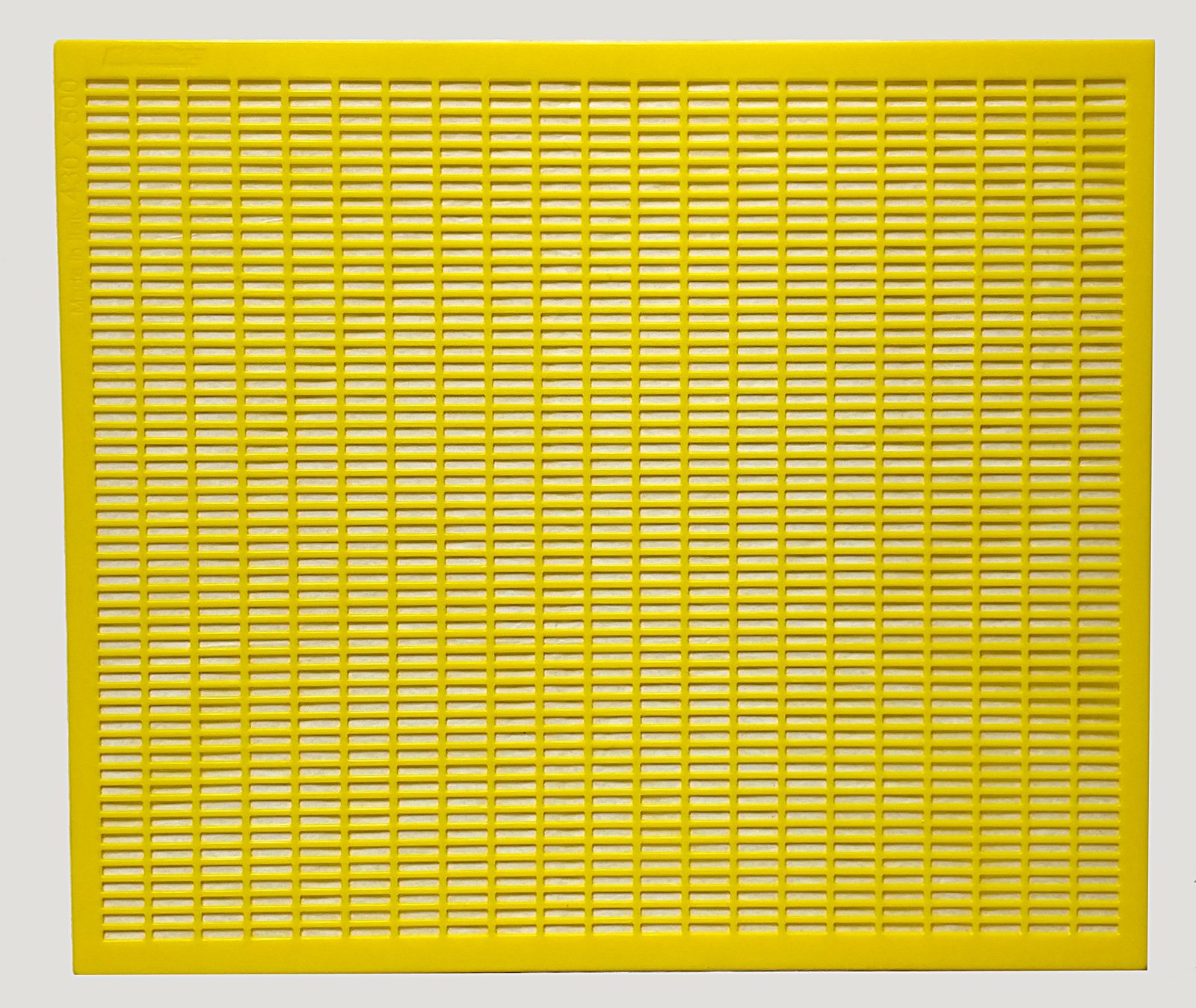 Agraria Ughetto Apicoltura ESCLUDI Regina in Plastica ItalyPro 43x50 Yellow | Stock 10 Pezzi | Made in Italy