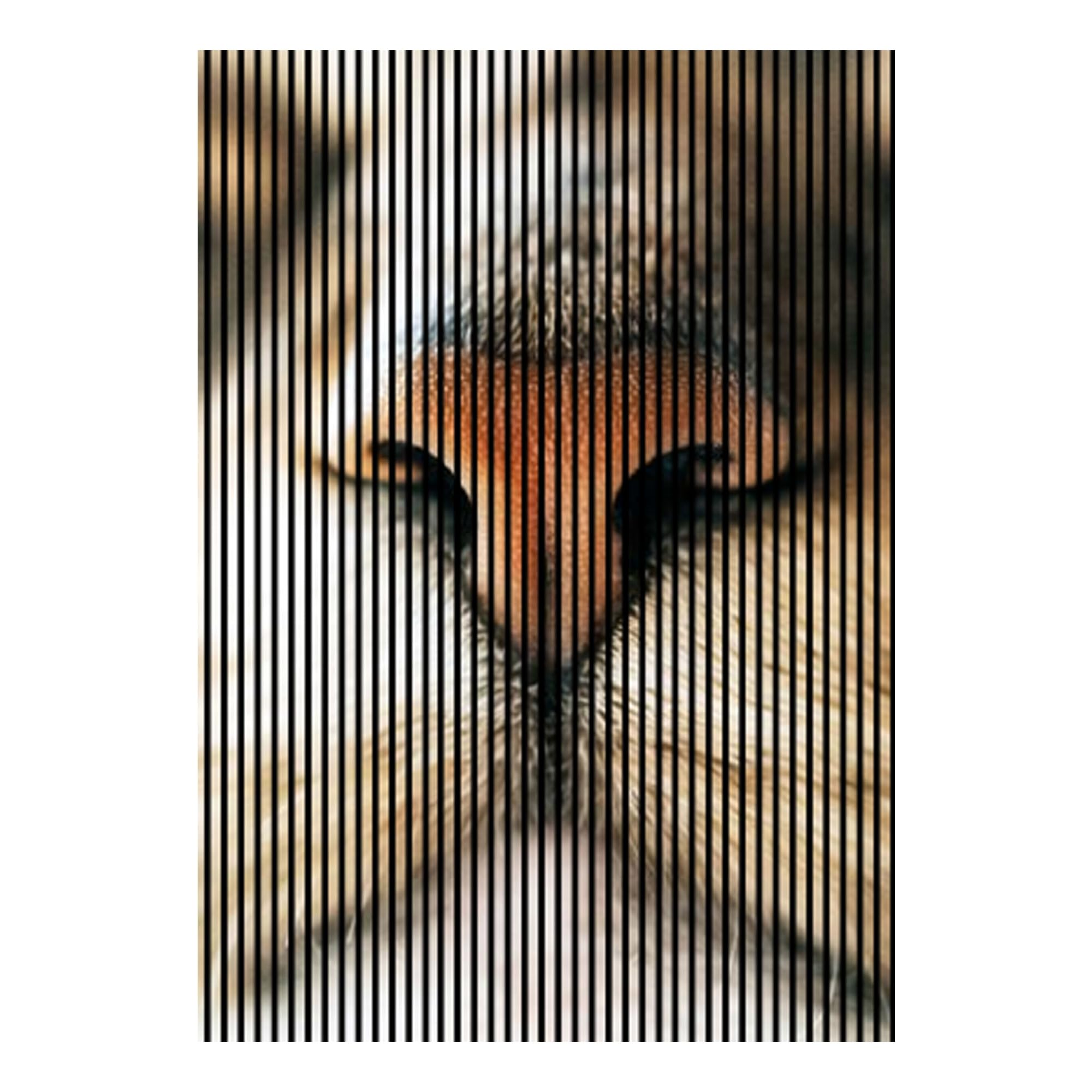 Panele akustyczne z nadrukiem cyfrowym Cat01 19 x 1693 x 2400 mm Kot MDF włókna PET panele ścienne brązowe 3 pojedyncze płyty