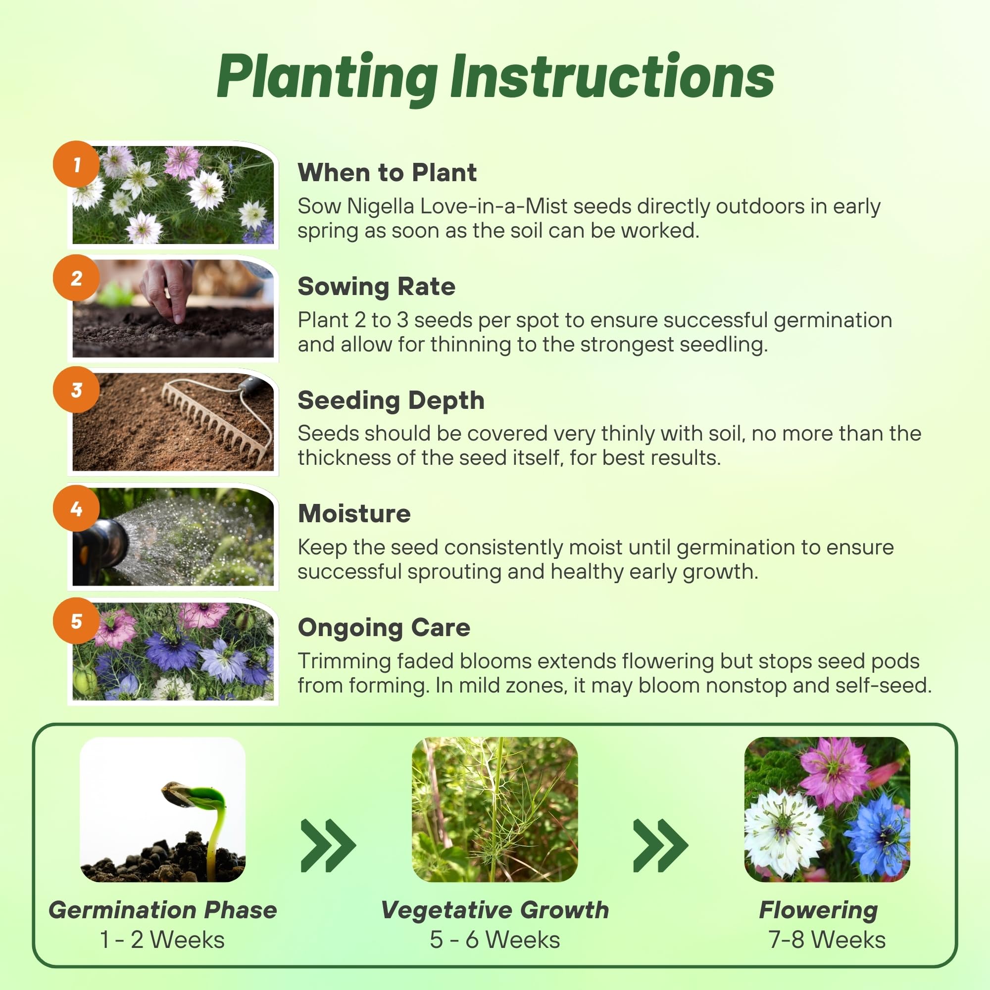 Jewels Mix Nigella Seeds - 1000 semillas anuales de flores para plantar con flores vibrantes y encaje, follaje similar a helecho, flor de corte atractivo para espacios de jardín pequeños 5