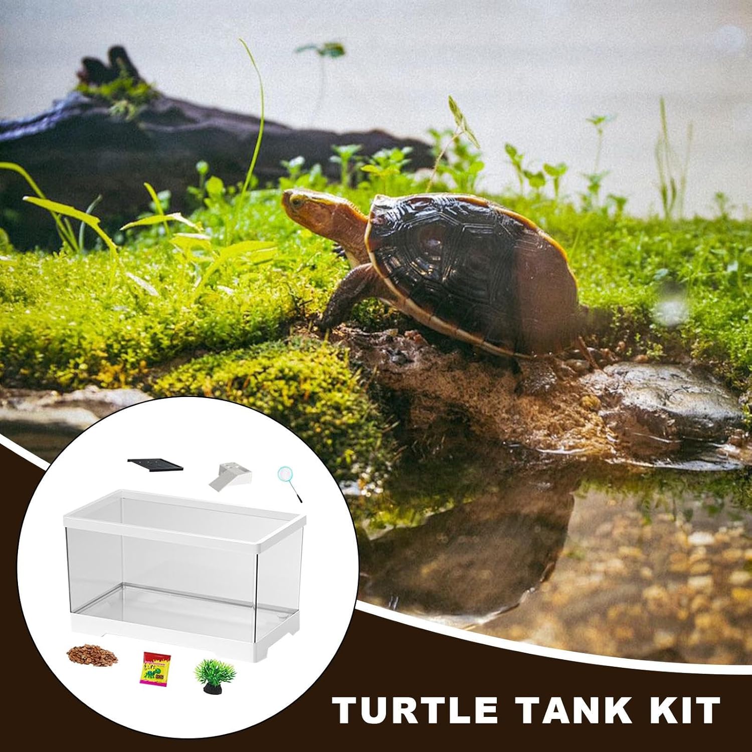 Amphibian Terrarium Kit - Drainage Turtle Aquarium Set, Transparent Reptile Habitat with Lamp | Turtle Tank Kit Featuring Spacious Enclosure Design for Tortoises, Fish, Lizards, and Small Pets
