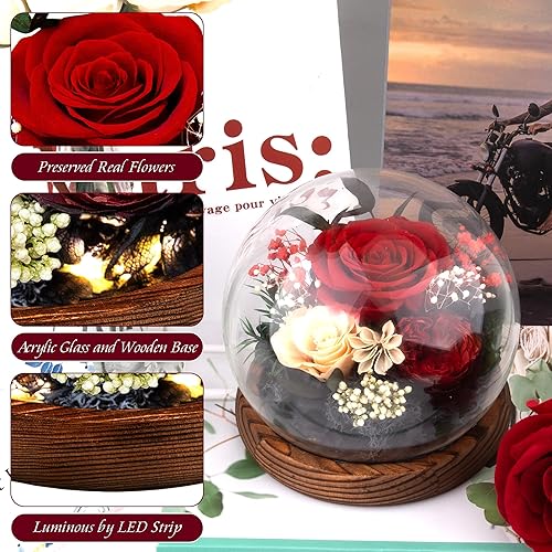 Miniatura 5 de Regalos de cumpleaños para mujeres, rosas reales rojas preservadas en cúpula de cristal, regalo de rosa para siempre, para su madre, esposa, novia,
