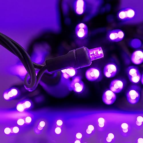 Miniatura 8 de Luces LED de Navidad profesionales para festividades, 50 bombillas, 25 pies, grado profesional, para interiores y exteriores, 0.197 in, gran