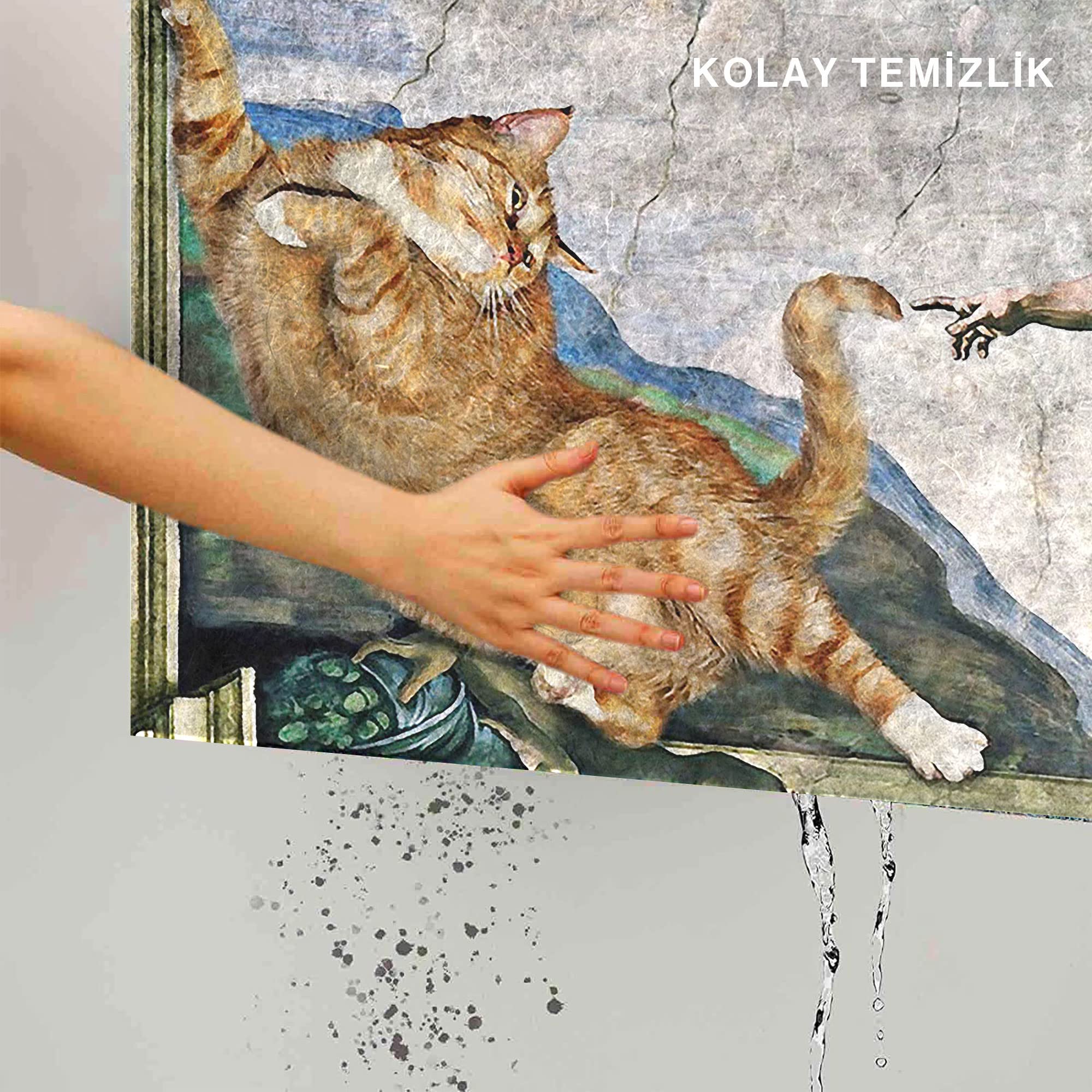Monnhein Kedi Köpek Komik Tasarımlı Dekoratif Kapı önü Paspas, Dış Mekan/Ev İçi/Banyo/Mutfak/Yatak Odası/Giriş Paspasları (Kedinin Yaratılışı, 45x70)