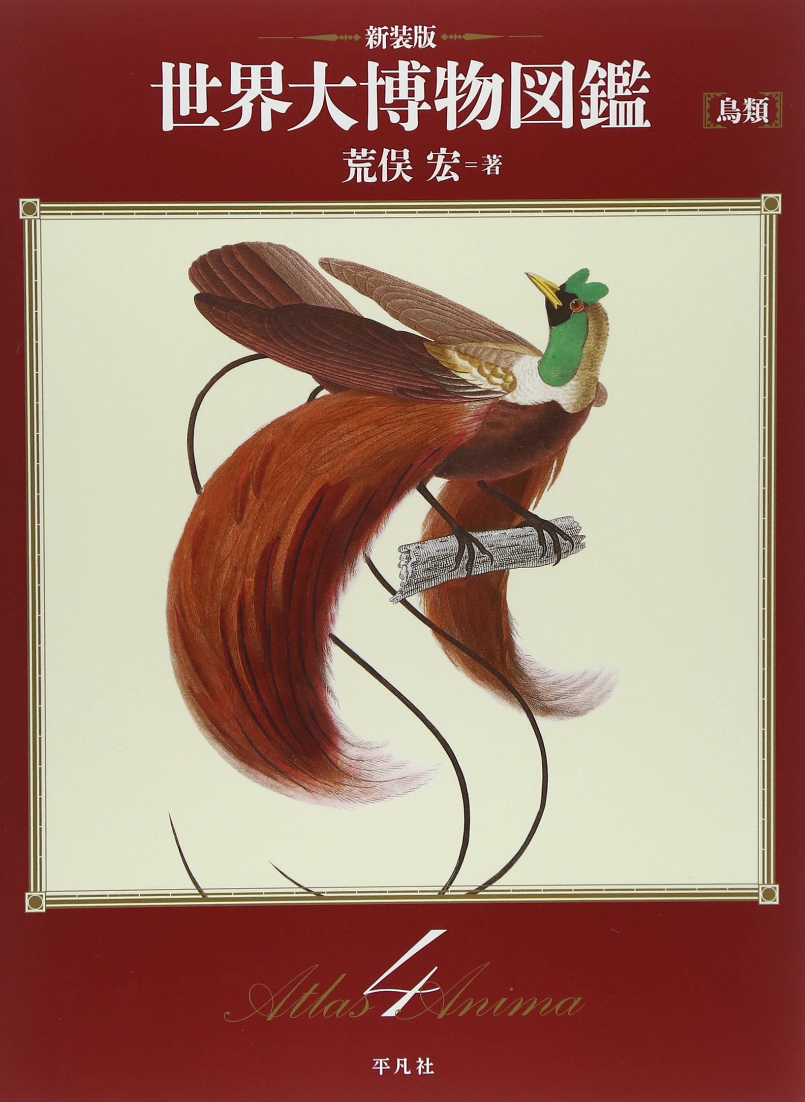 Amazon.co.jp: 鳥類 : 荒俣宏: Japanese Books