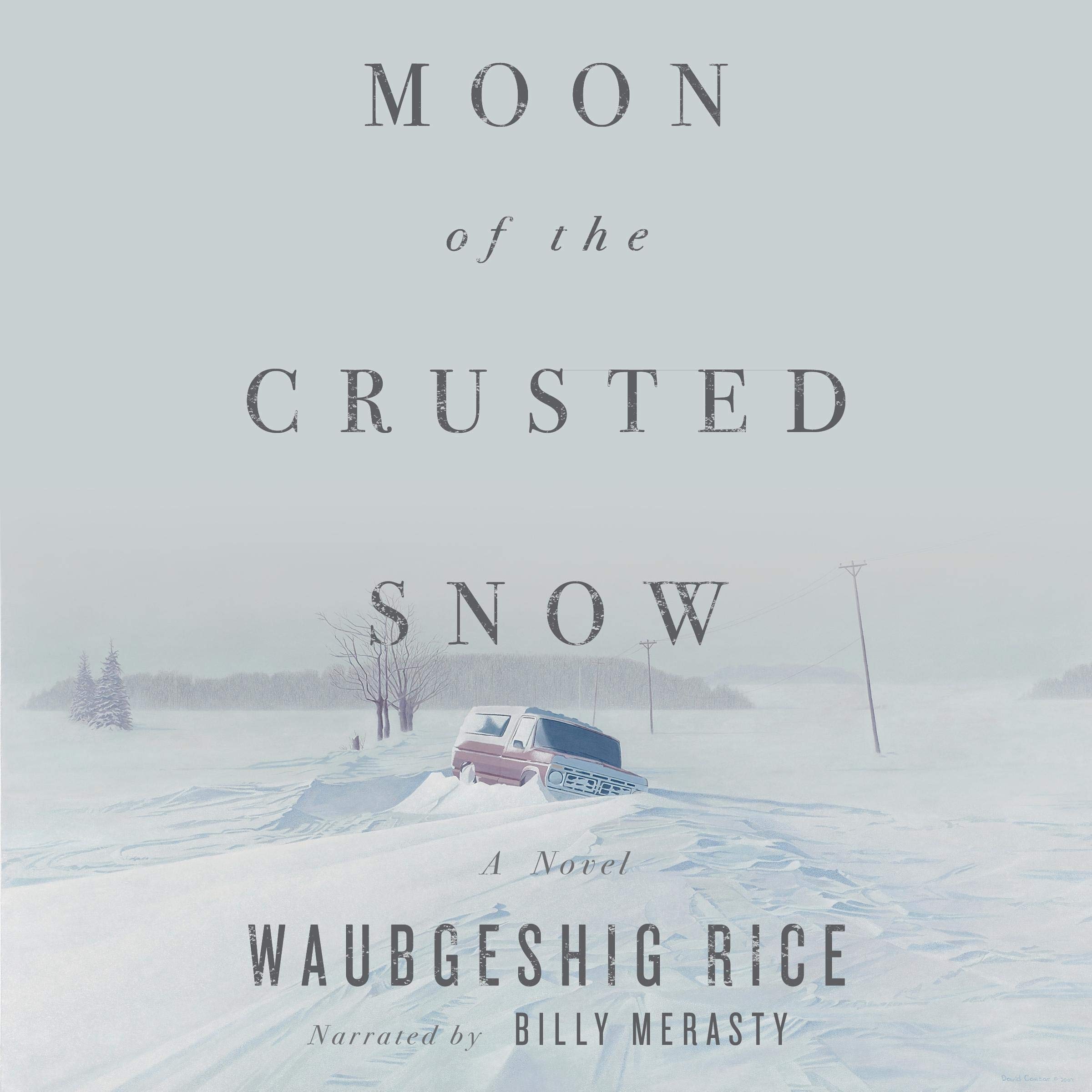 Moon of the Crusted Snow: A Novel