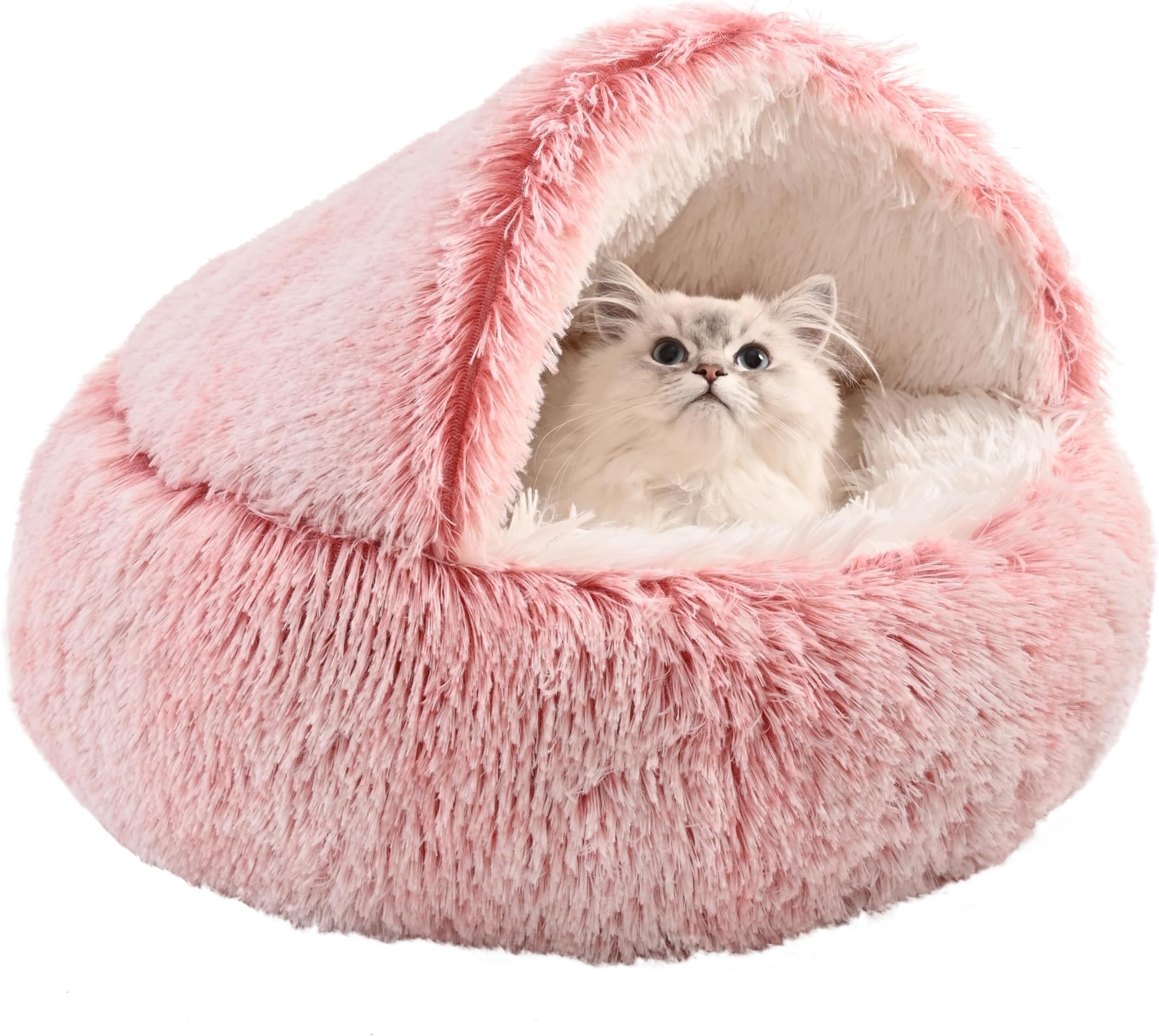 Amazon.com : Kinoy Cat Bed Round Hooded Cat Bed Cave for Indoor Cats ...