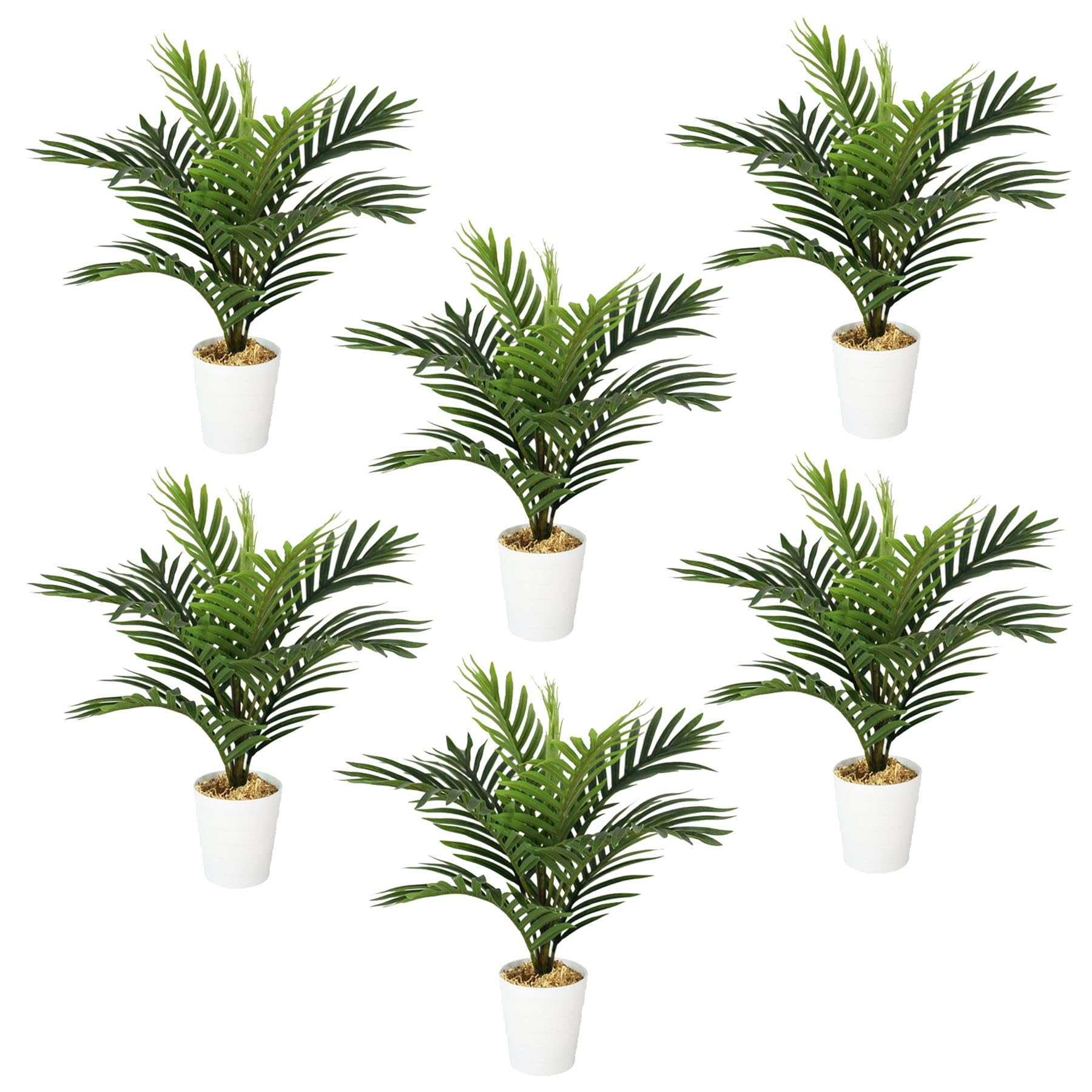 Pack of 6 - 50cm Artificial Mini Palm Tree - Green - Leaf