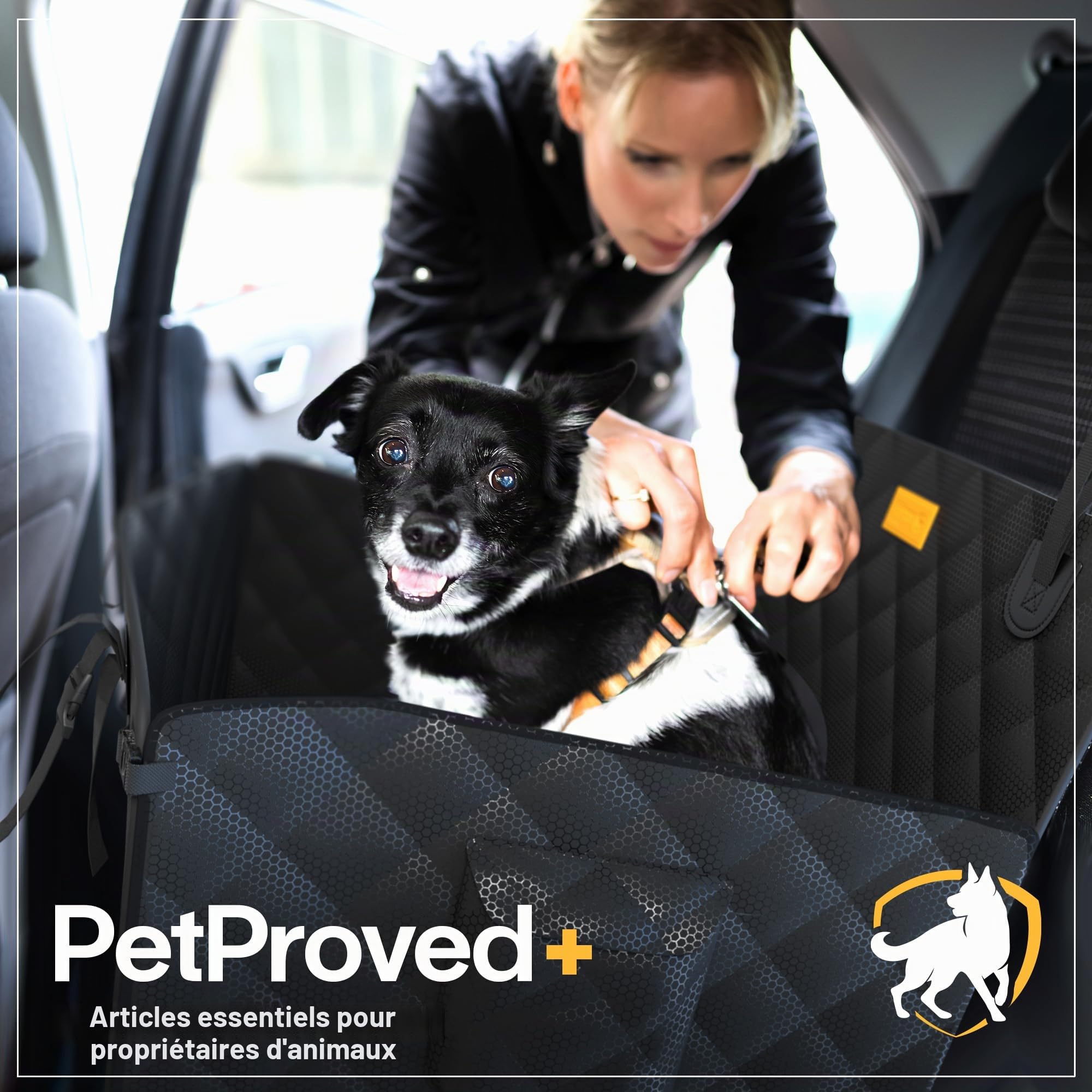 PETPROVED Panier Chien Voiture Siege Auto Chien Imperméable Sieges Arriere Siege Panier Voiture Auto Moyenne Taille Grande Taille