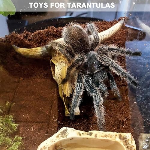 Aquarium Decorations Cattle Skull Fish Tank Decor Bearded Dragon Tank Decor Ornaments Reptiles Hideouts Decorations Small Animal Cage Accessories Habitat Décor for Geckos Lizards Snakes