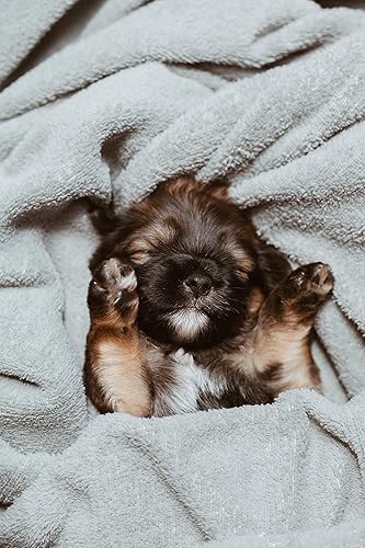 Miniatura 6 de Organic Excellence Champú suave para perros, ideal para todas las mascotas: perros, cachorros, gatos, caballos, formulado para pieles sensibles,